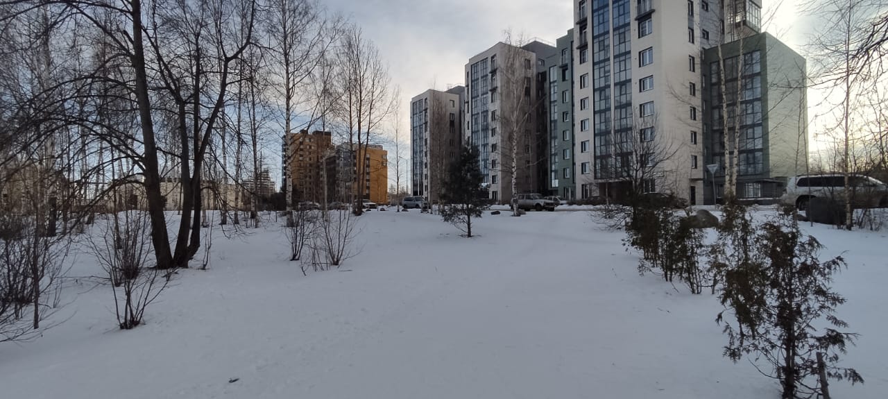 Фото Karelia apart Солнечный берег на улице Федосовой 31