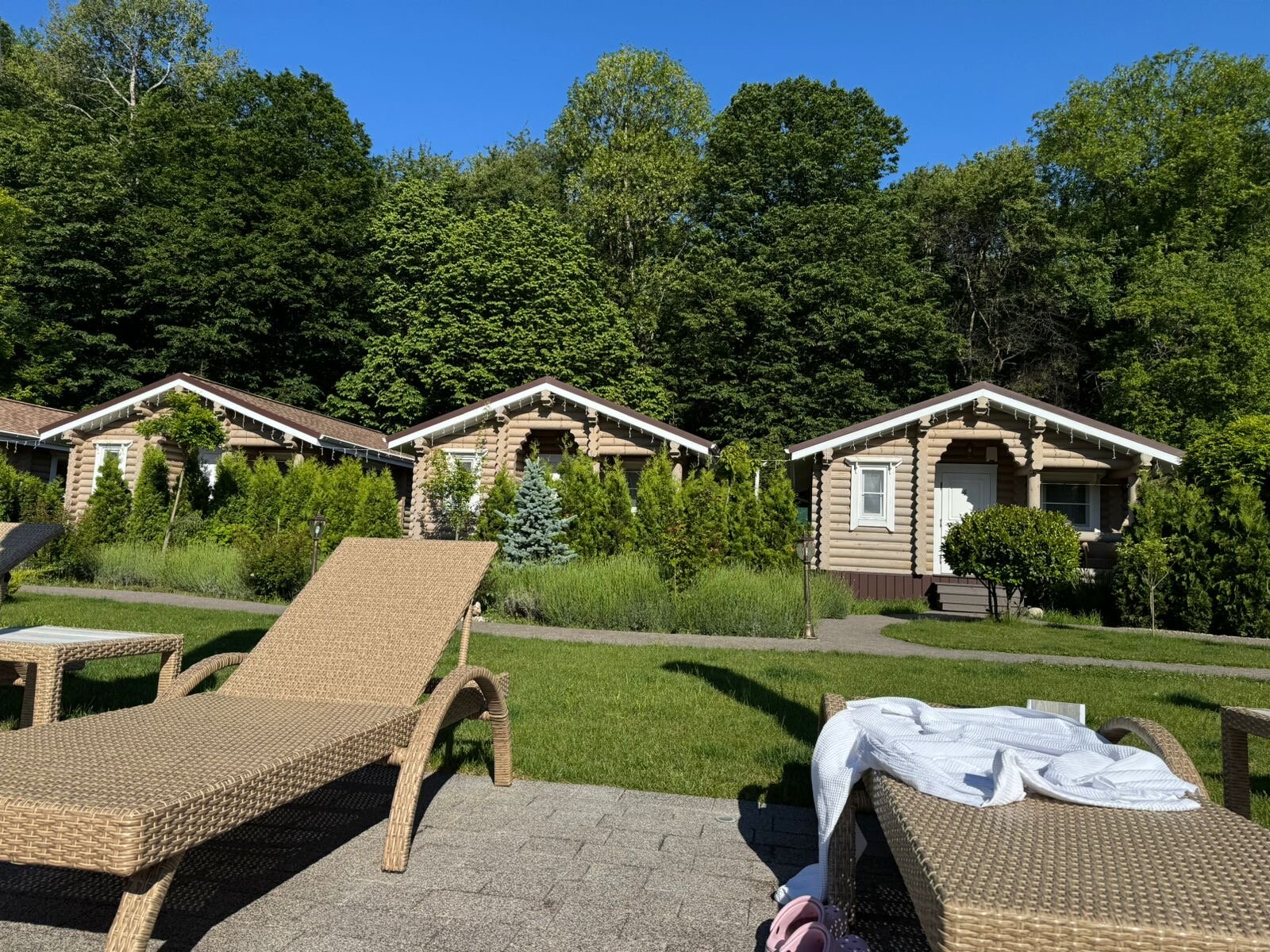 Фото Лаванда