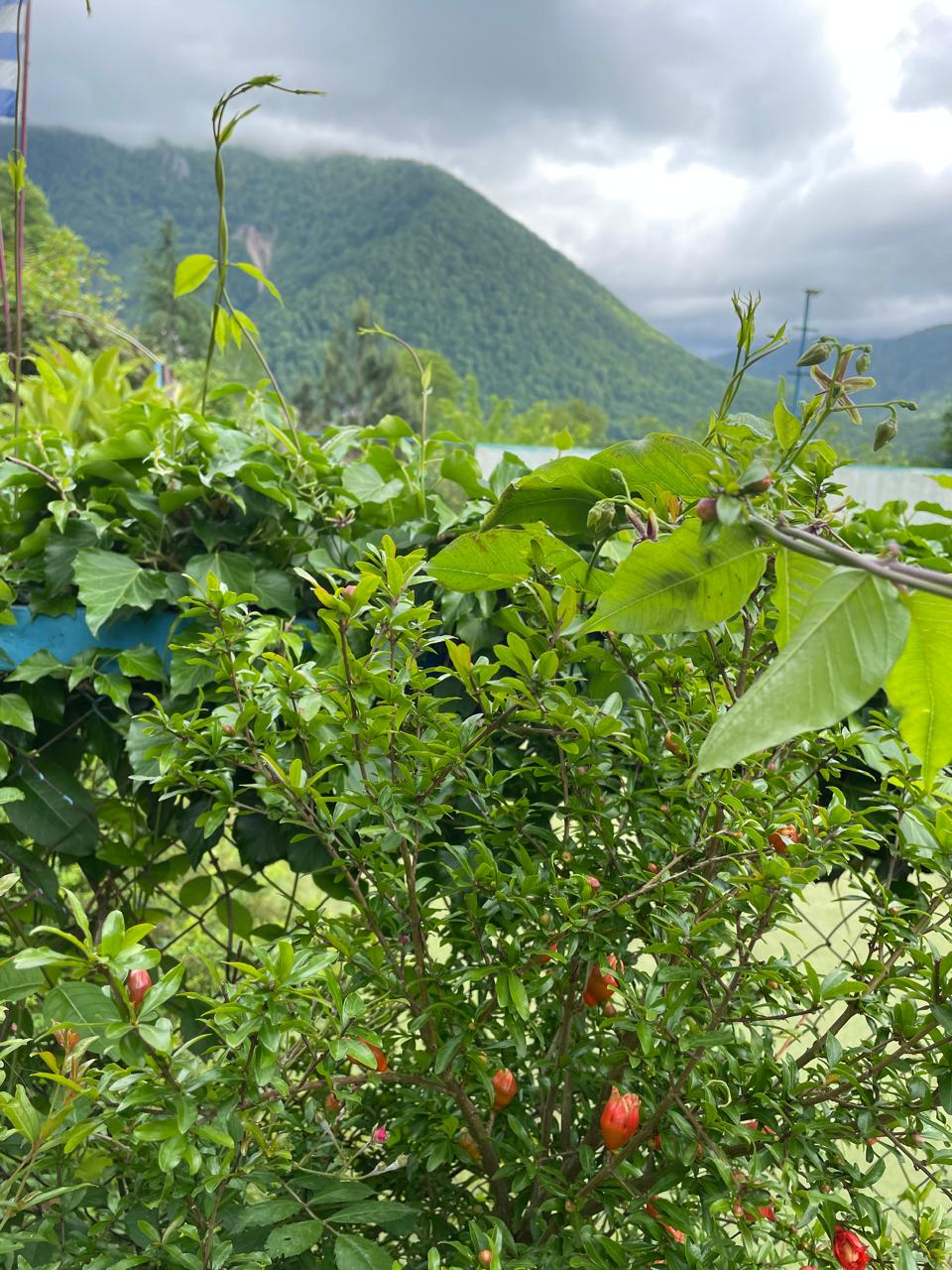 Фото Монастырская изба