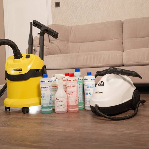 Temizlik şirketleri Delfin, Soçi, foto