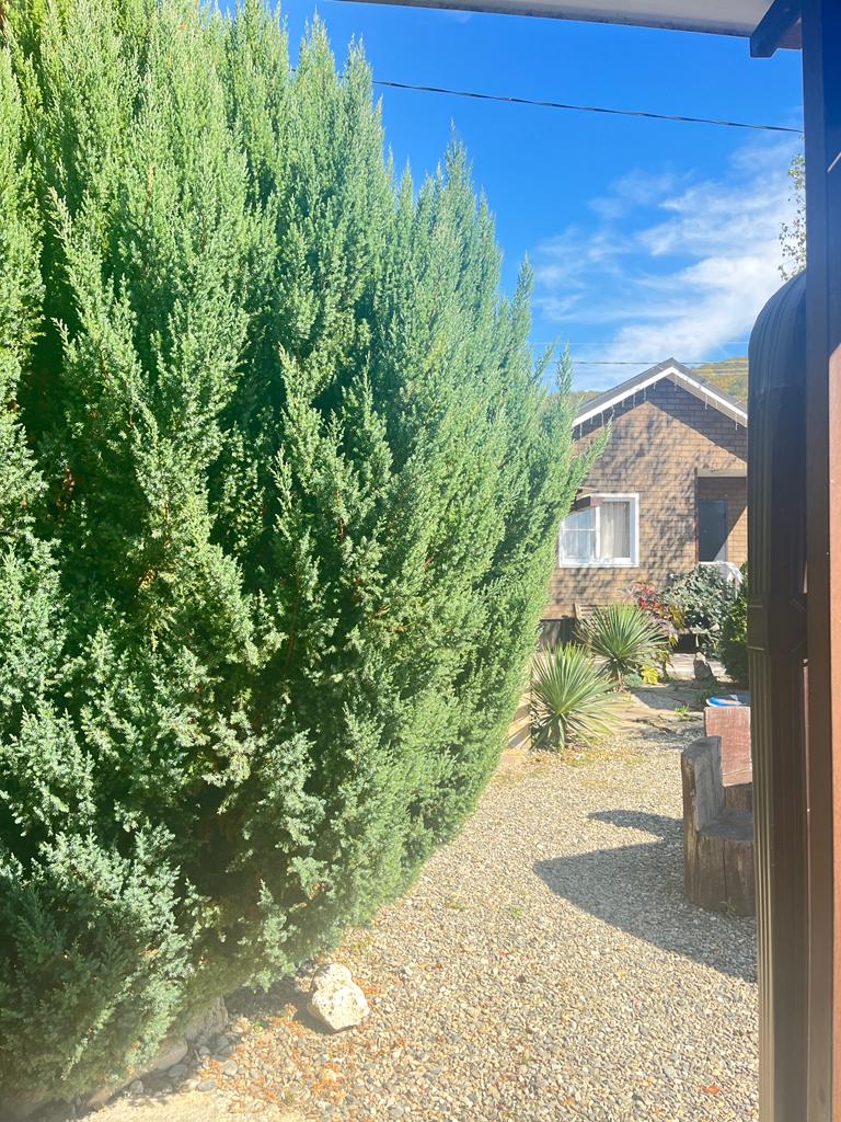 Фото Гостевые домики у реки Дах