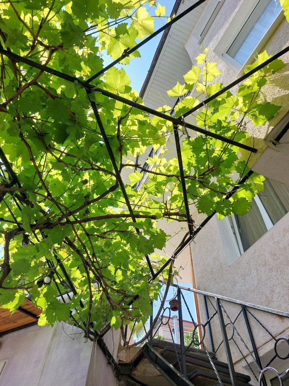 Фото Клименко хаус