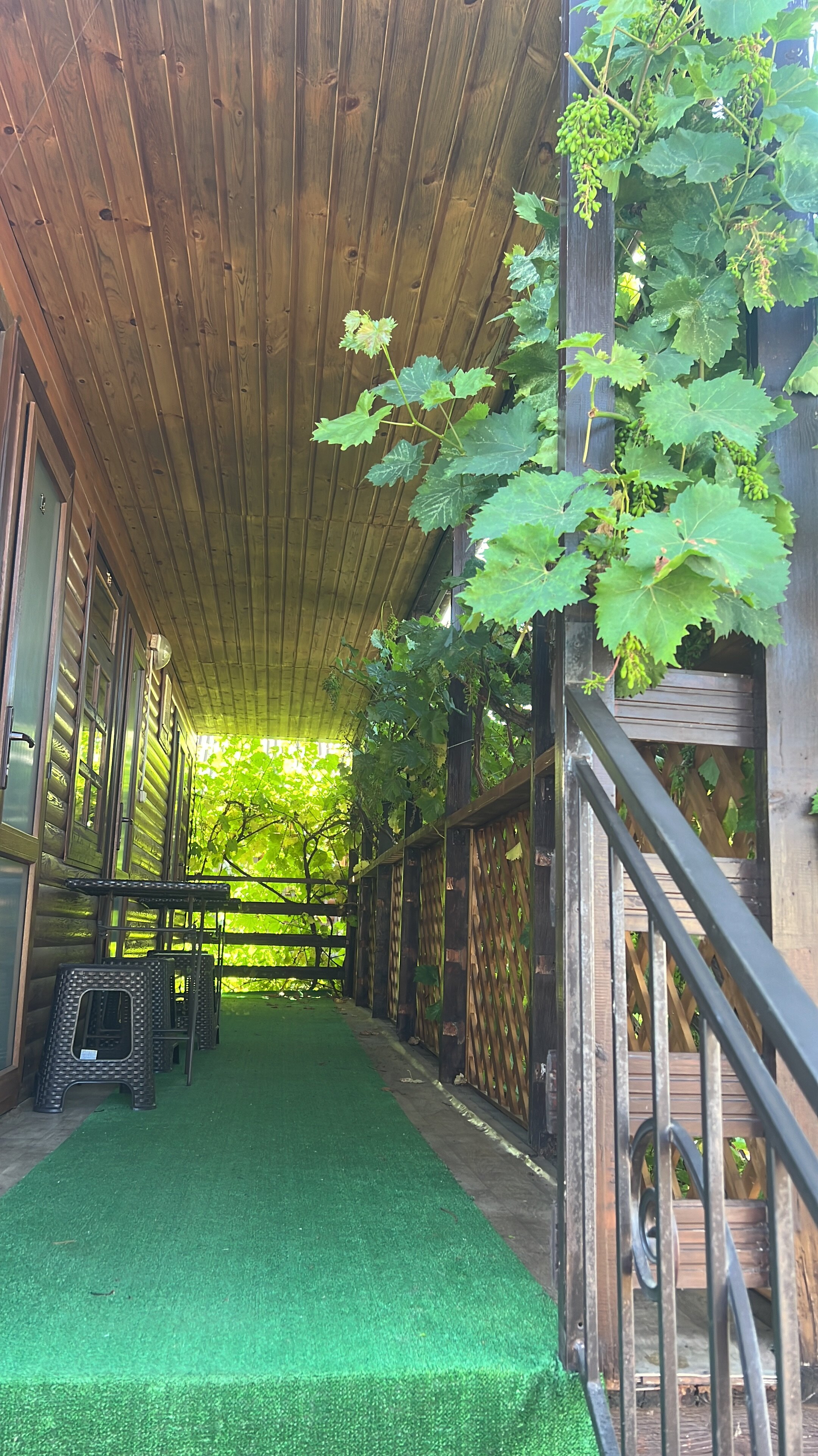 Фото Лесная быль