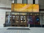 Московский международный Дом музыки, Театральный зал (Kosmodamianskaya Embankment, 52с8), concert hall