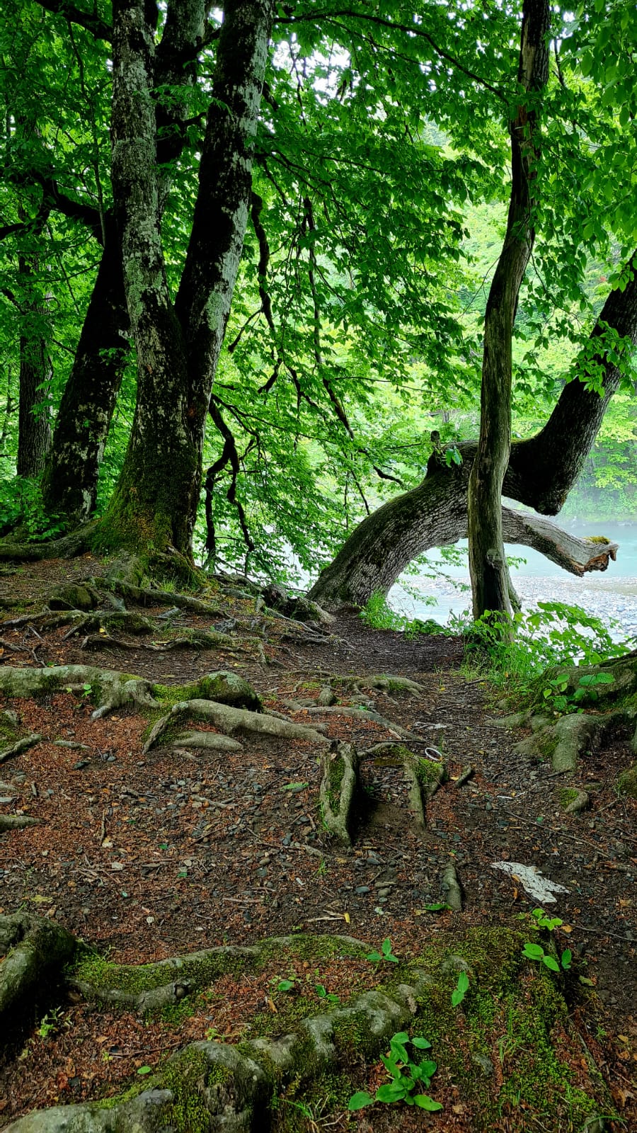 Фото The. Small. Hill. House