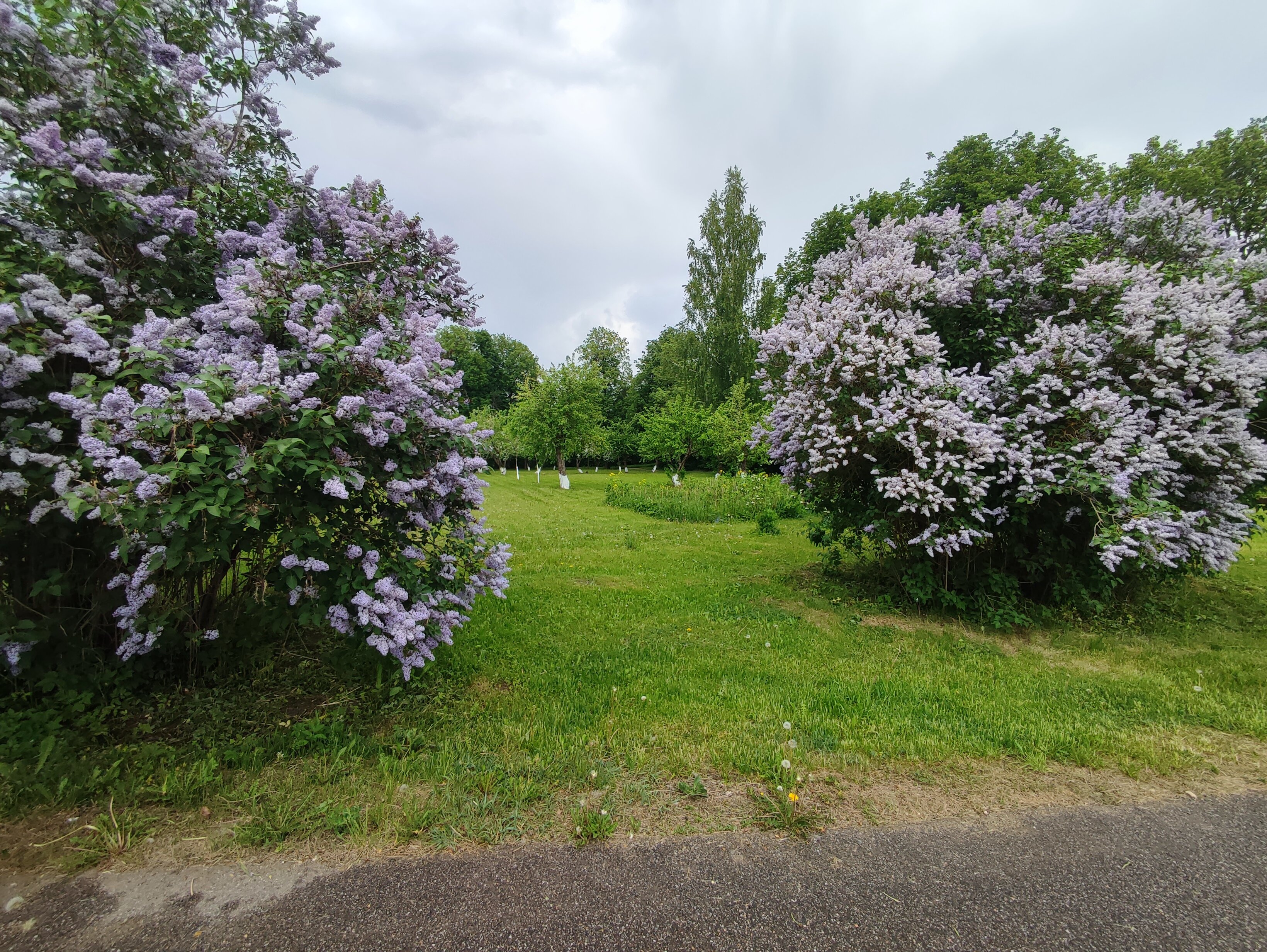 Фото Староладожская дача