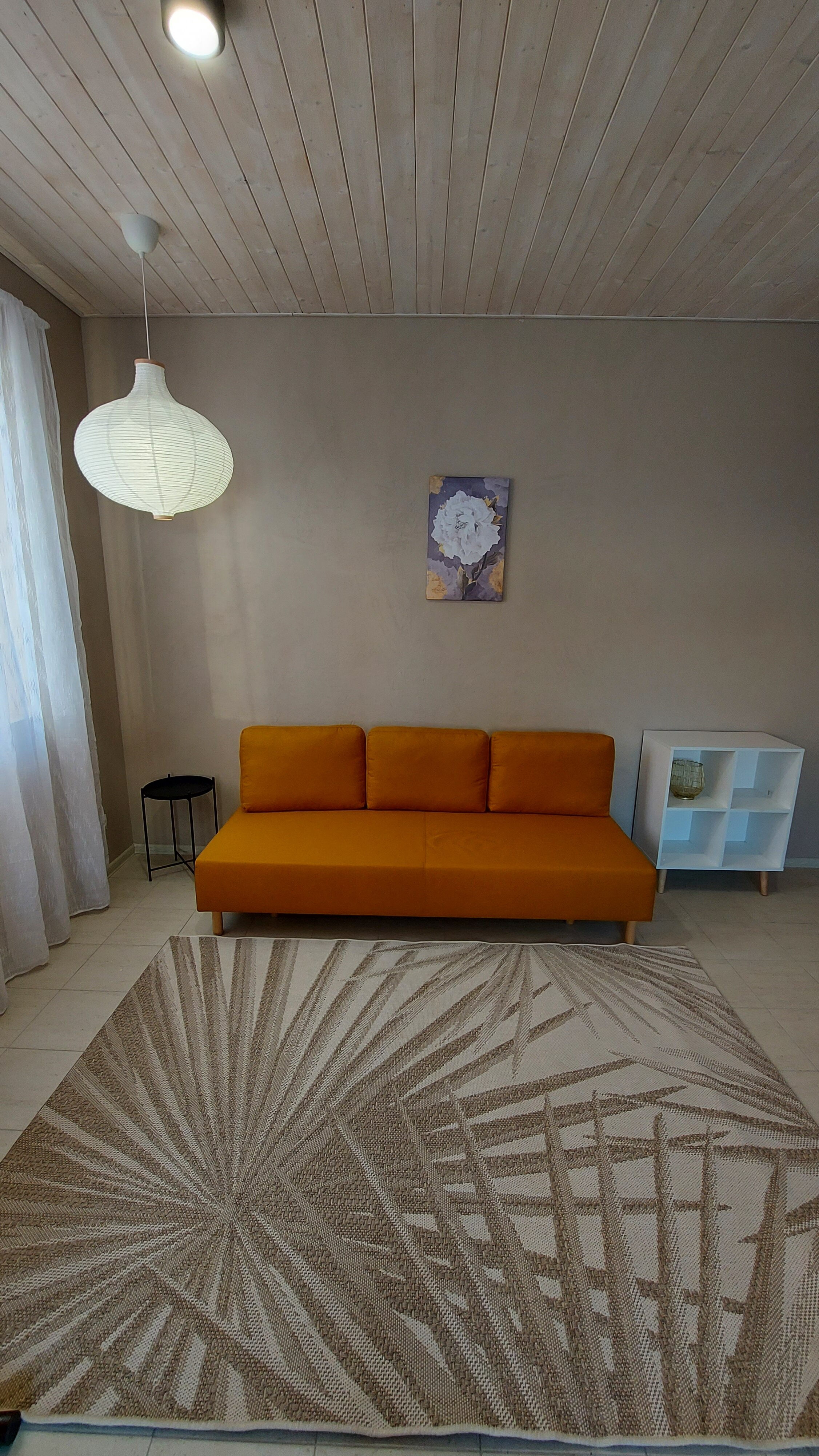 Фото Ёлки-Палки