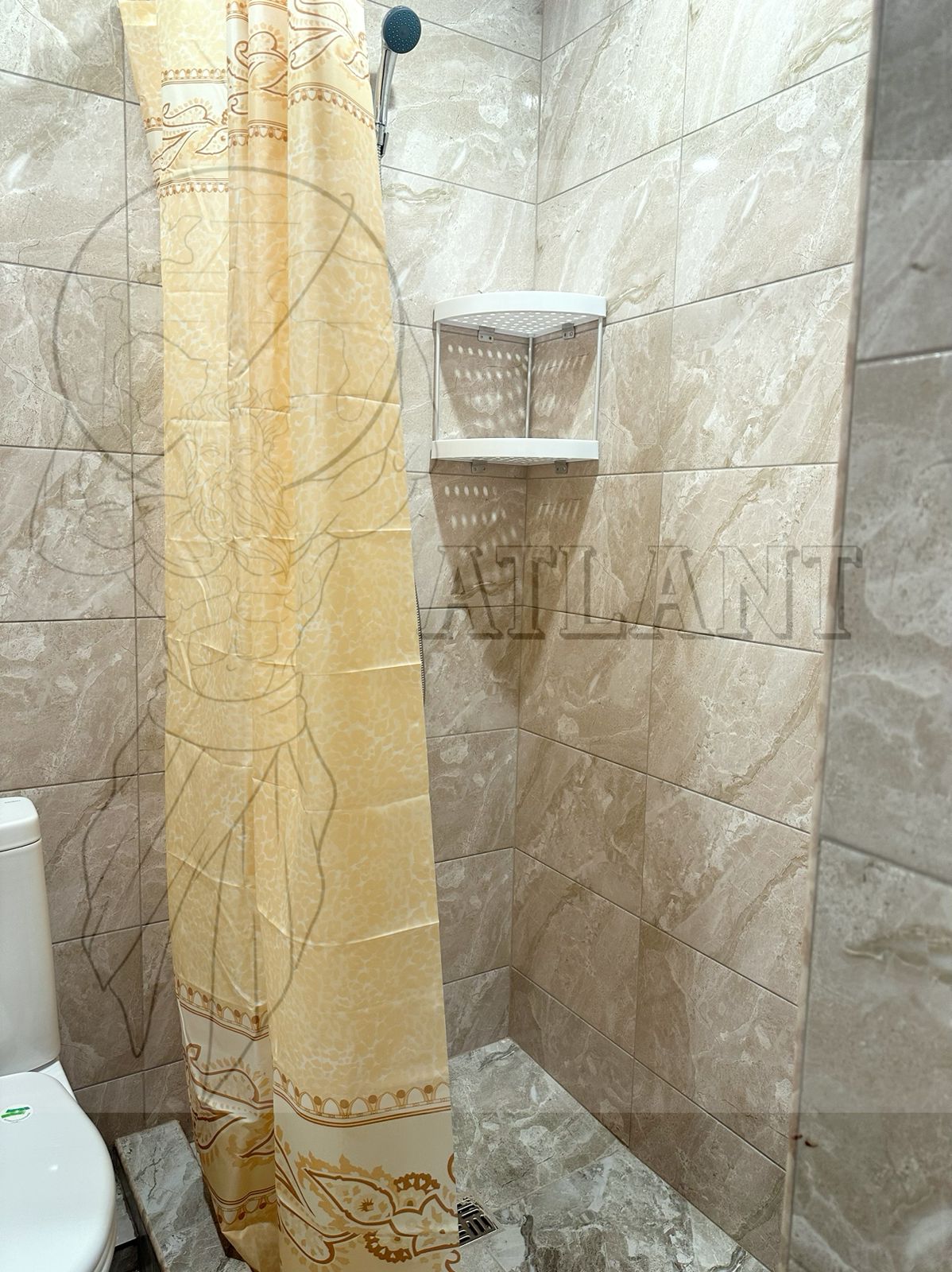 Фото Атлант