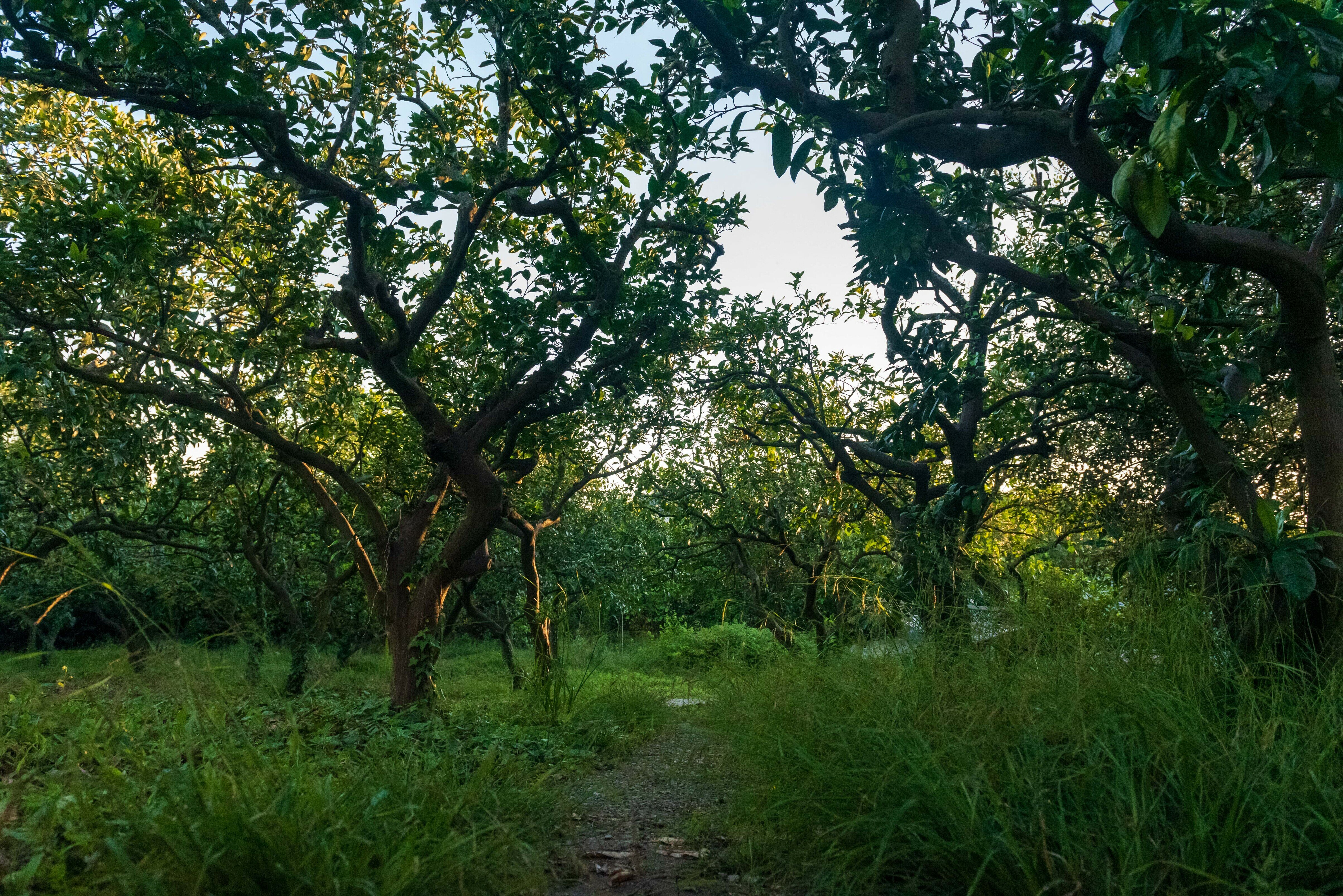 Фото Домик у моря