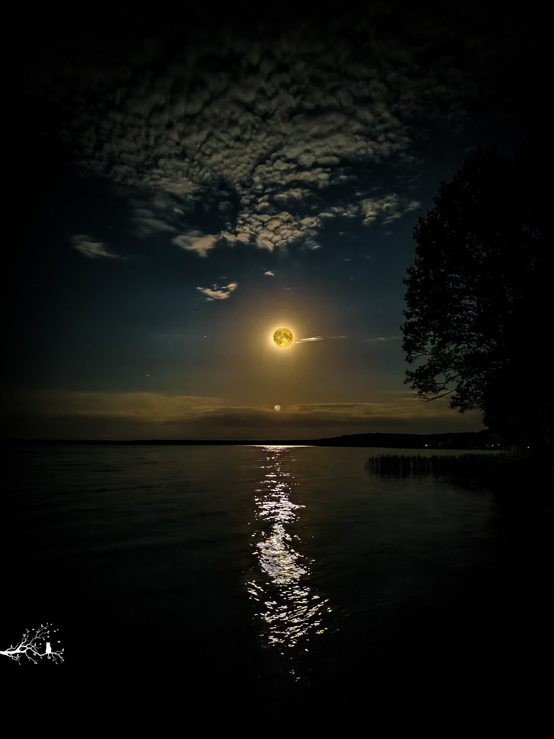 Фото Нарочанка