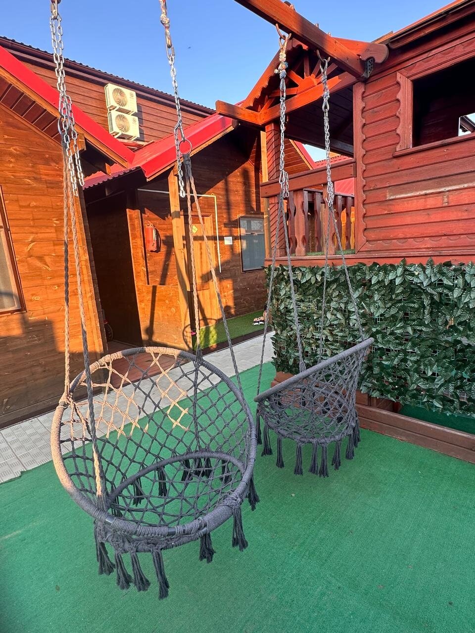 Фото Лазурное Яровое