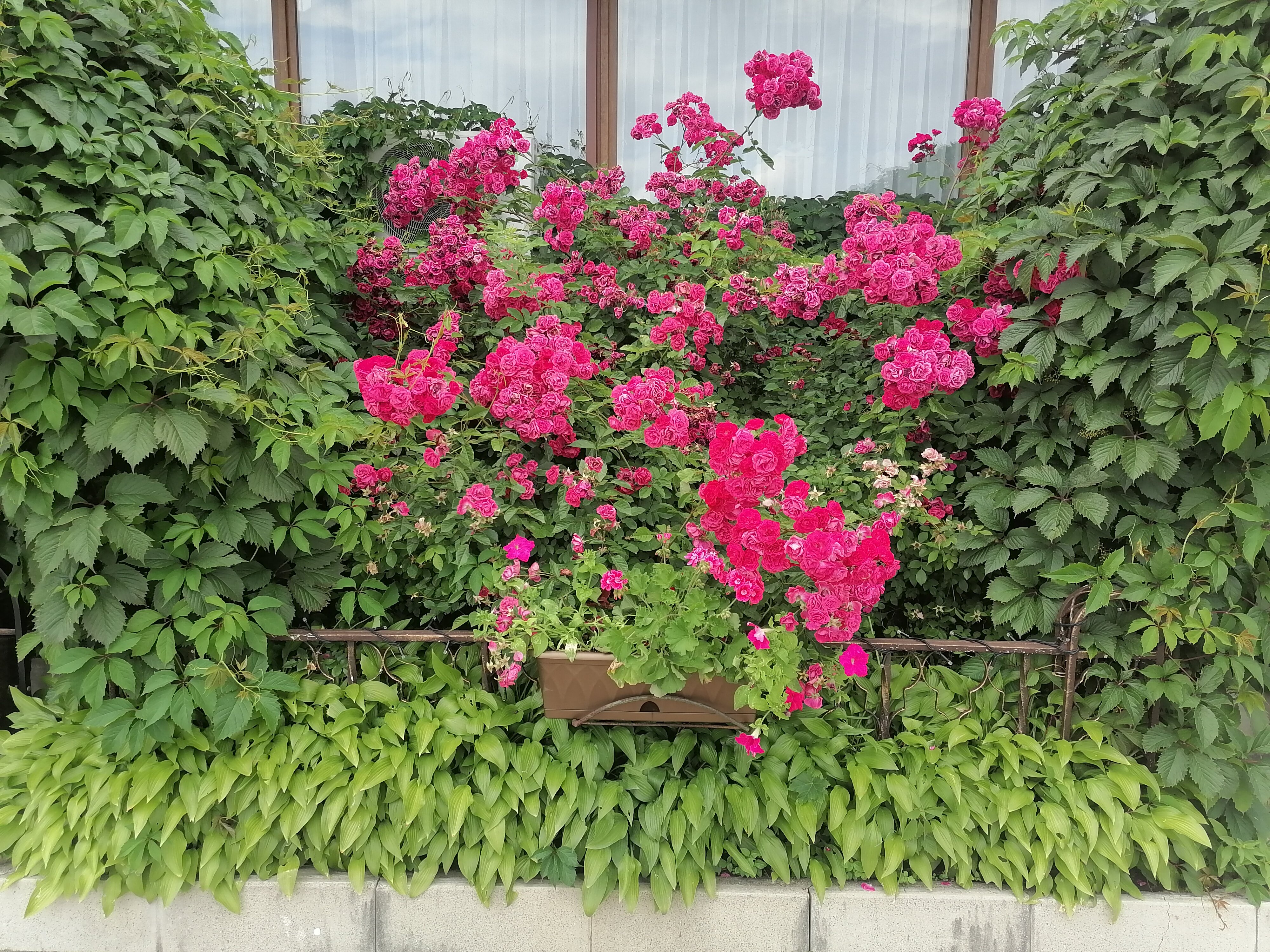 Фото Пятигорская клиника ФГБУ Скфнкц ФМБА России