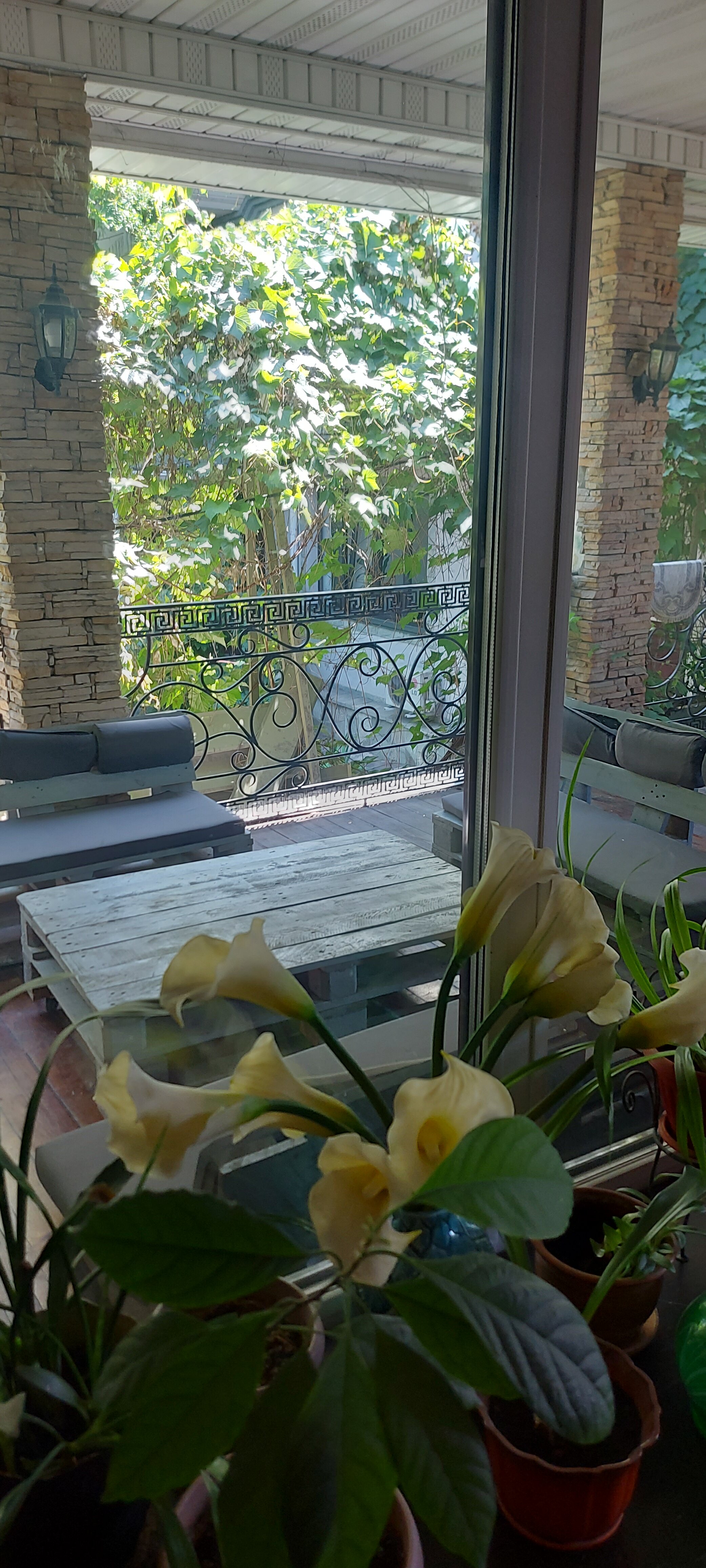 Фото Wanderlust Boutique Hostel