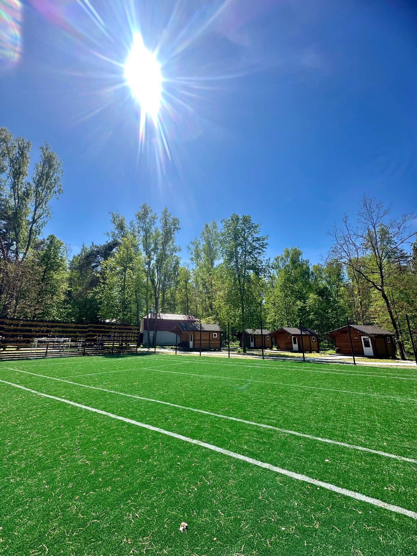 Фото Подберёзовик