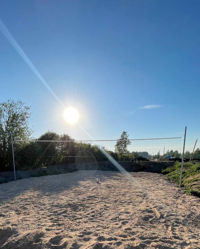 Фото Ракита