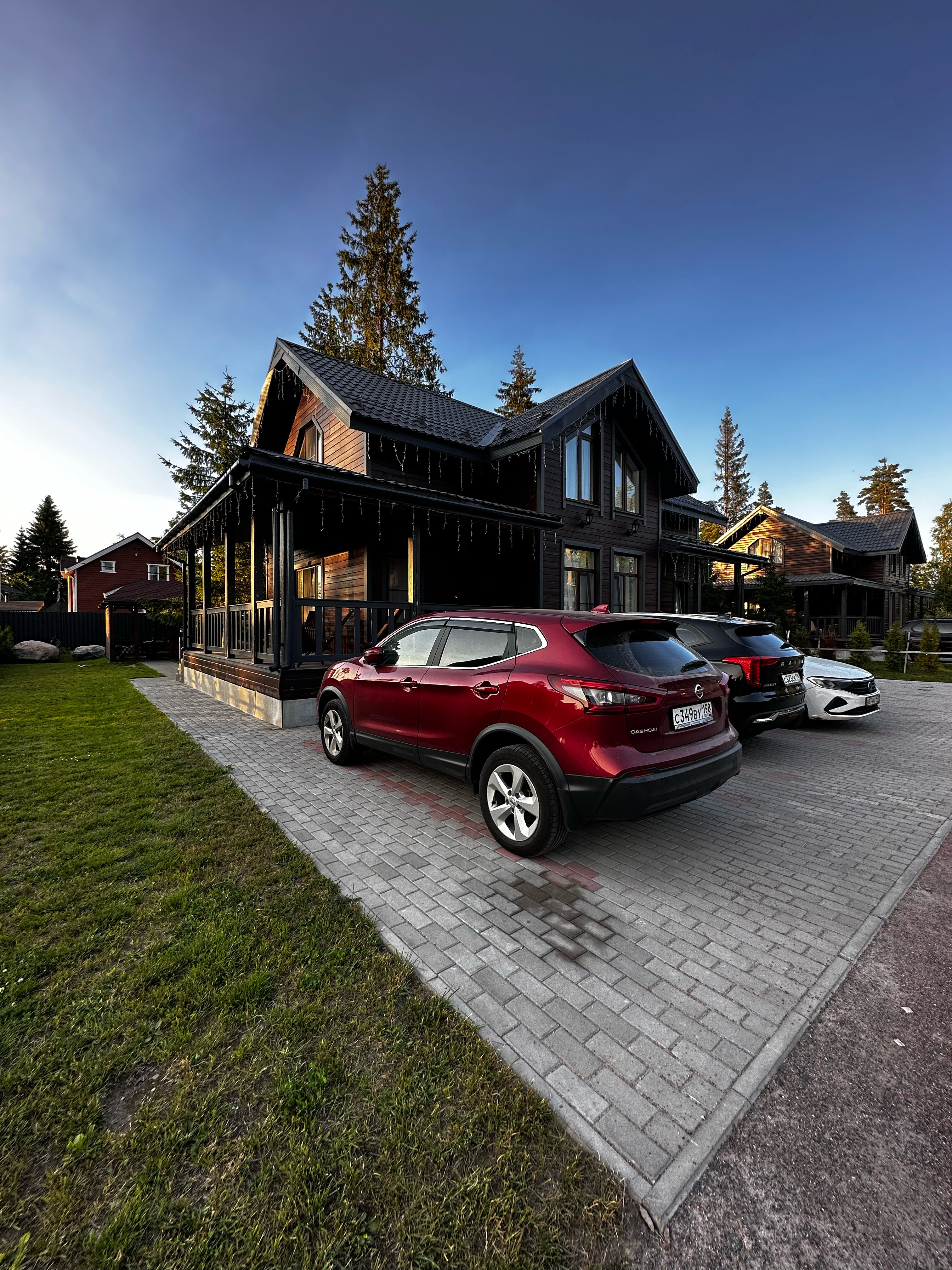 Фото Лесная Сова