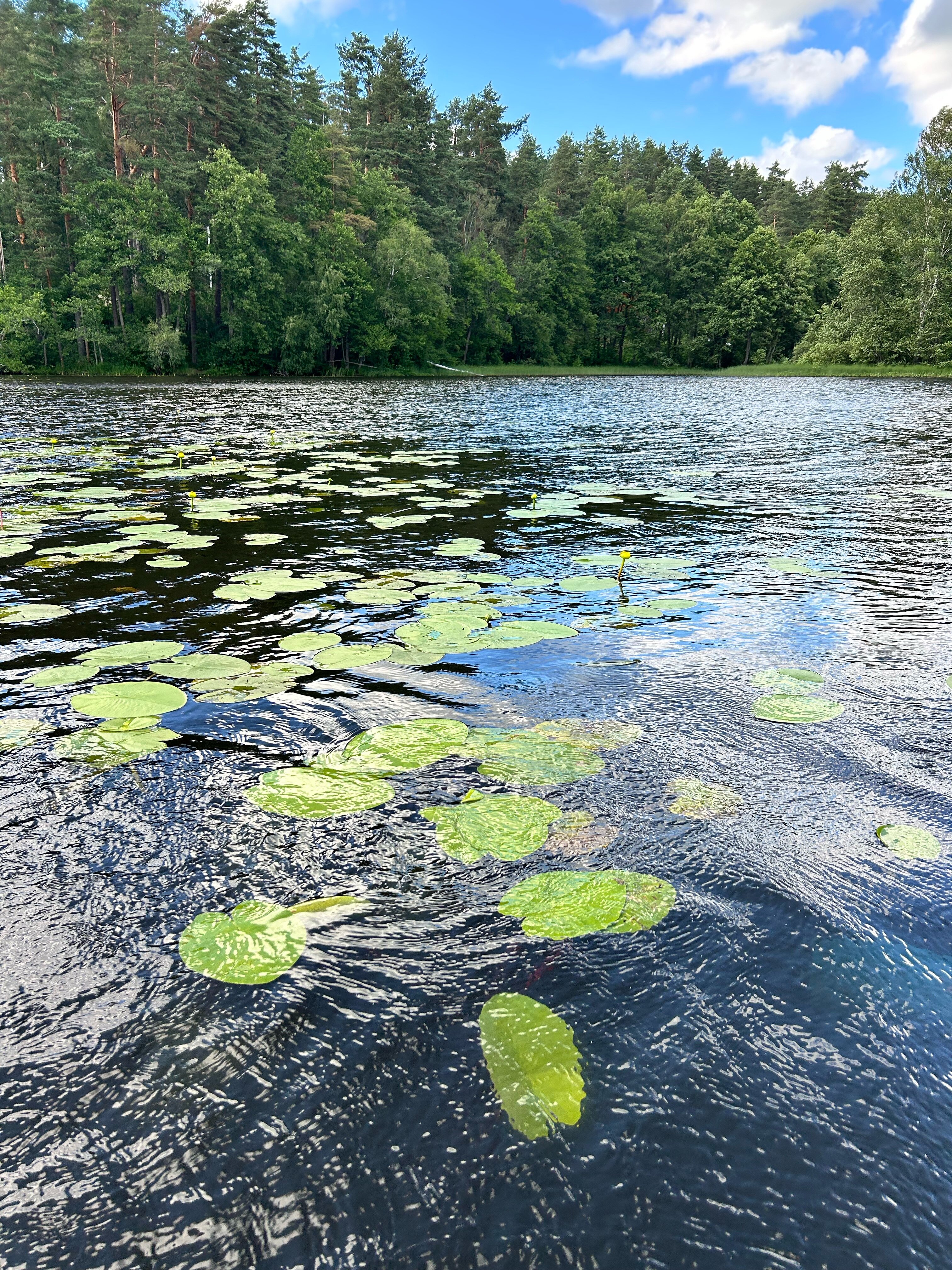 Фото Давинчи Парк