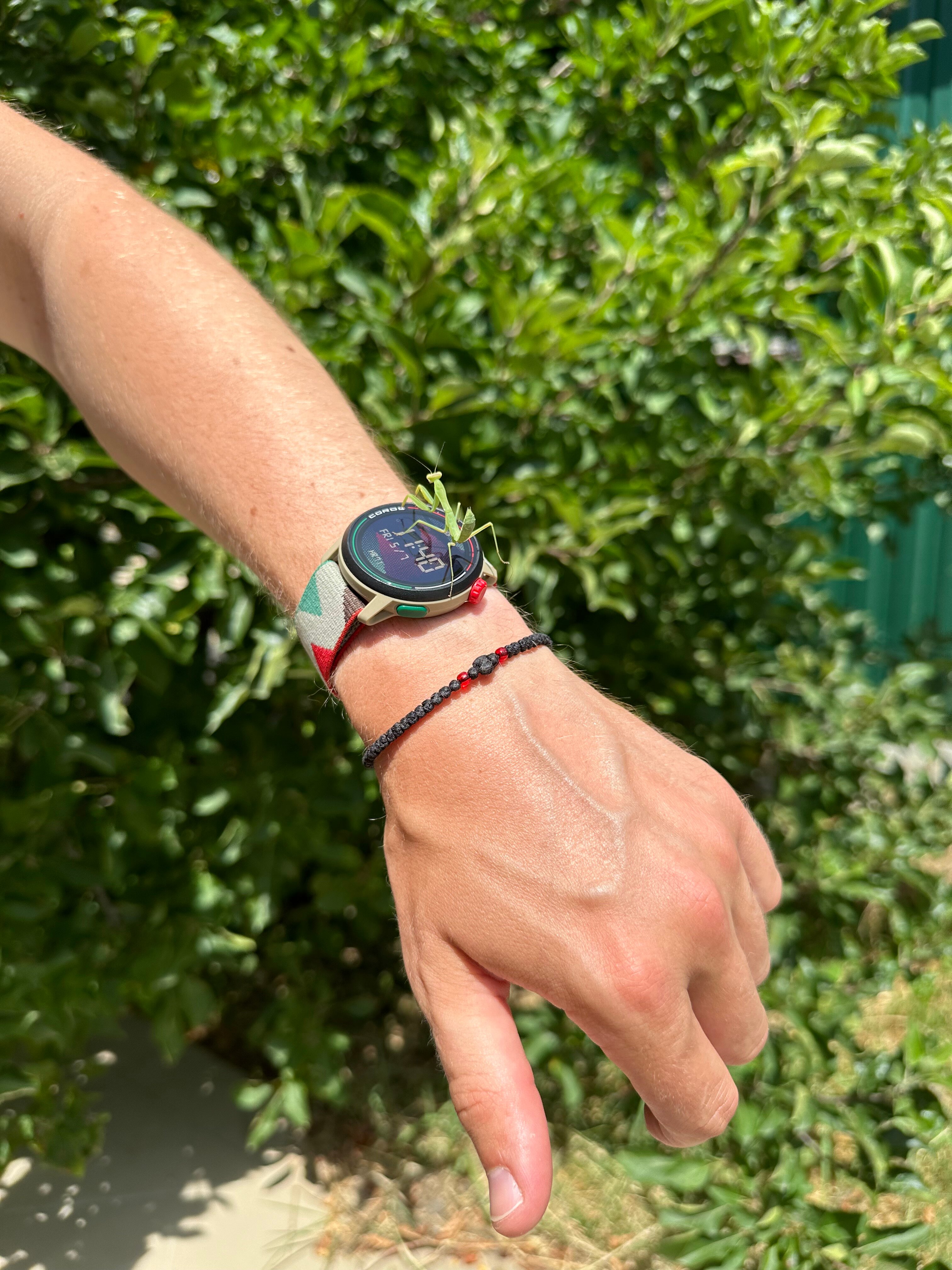 Фото Forest Club