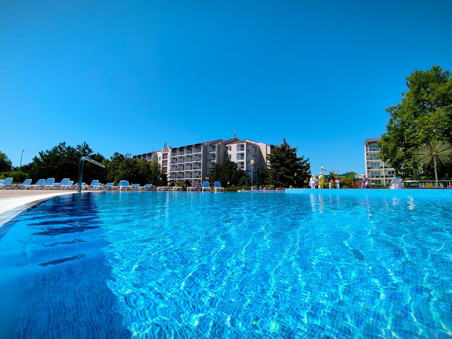 Фото Витязь