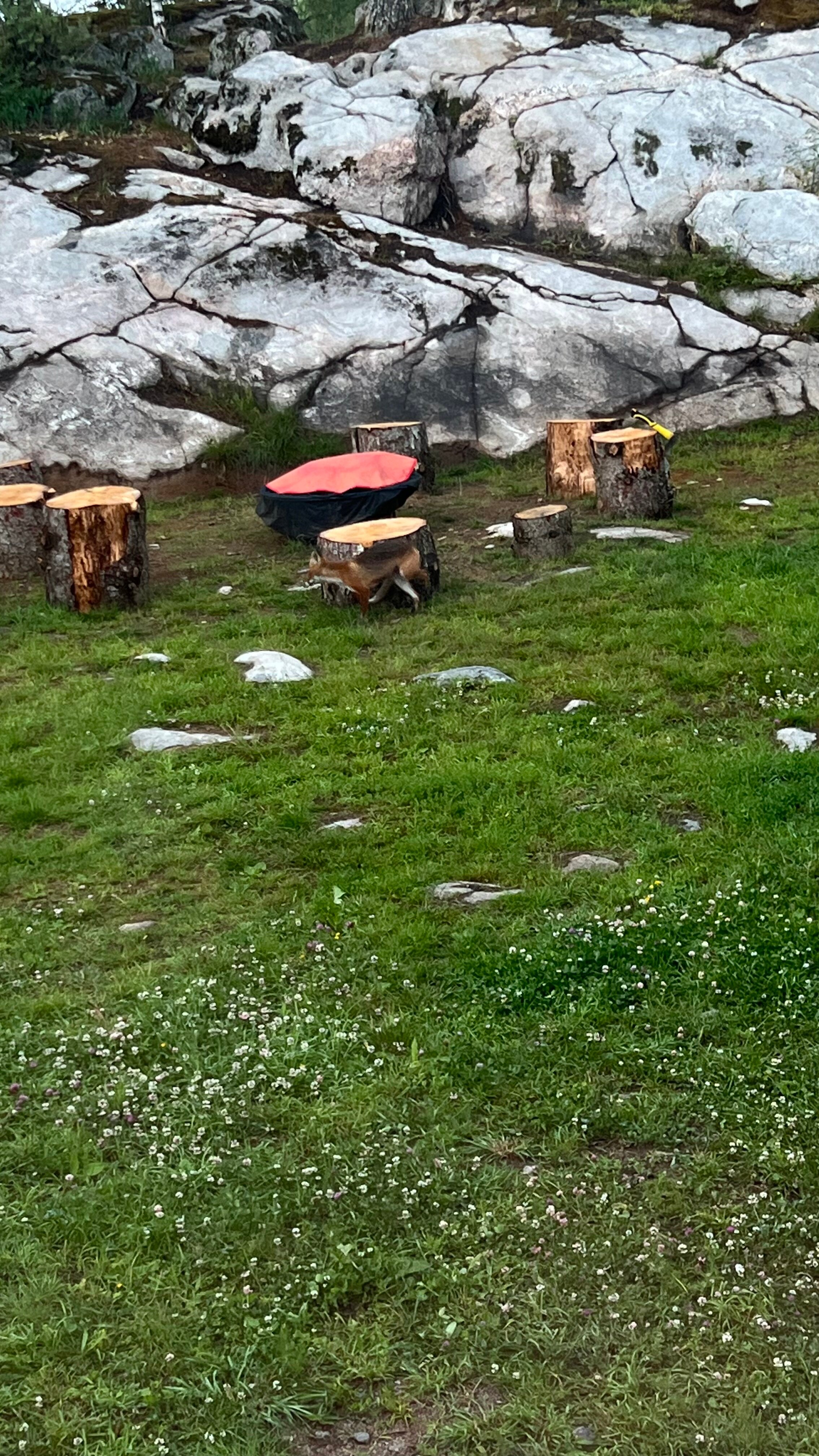 Фото Tikka-House