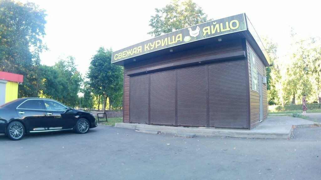 Egg and poultry meat Магазин Свежая курица и яйцо, Vladikavkaz, photo