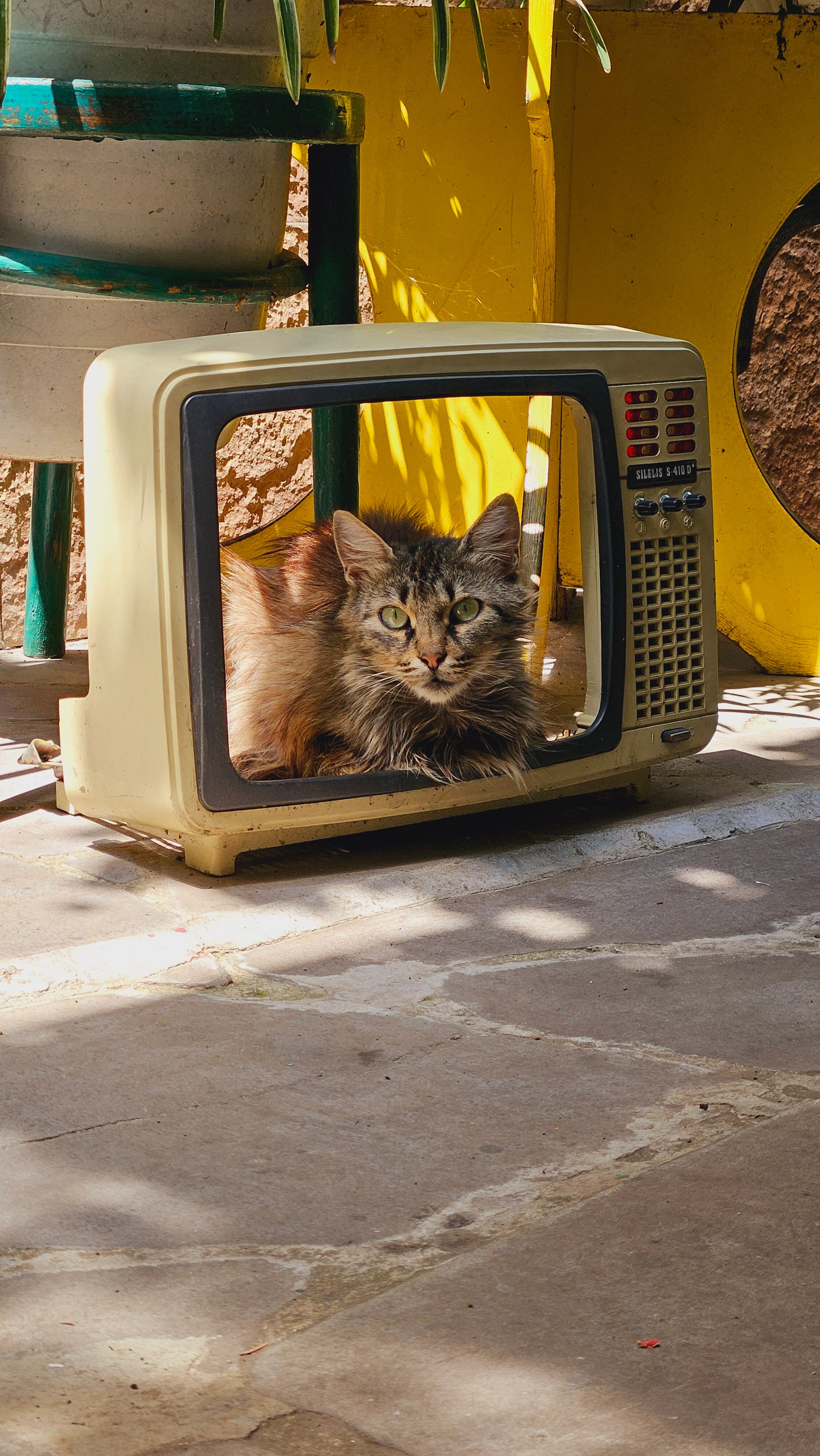 Фото Элиа Бутик Хостел