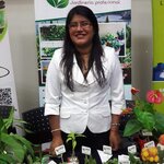 Emidas (Distrital Lince, Jirón Risso, 735), internet marketing