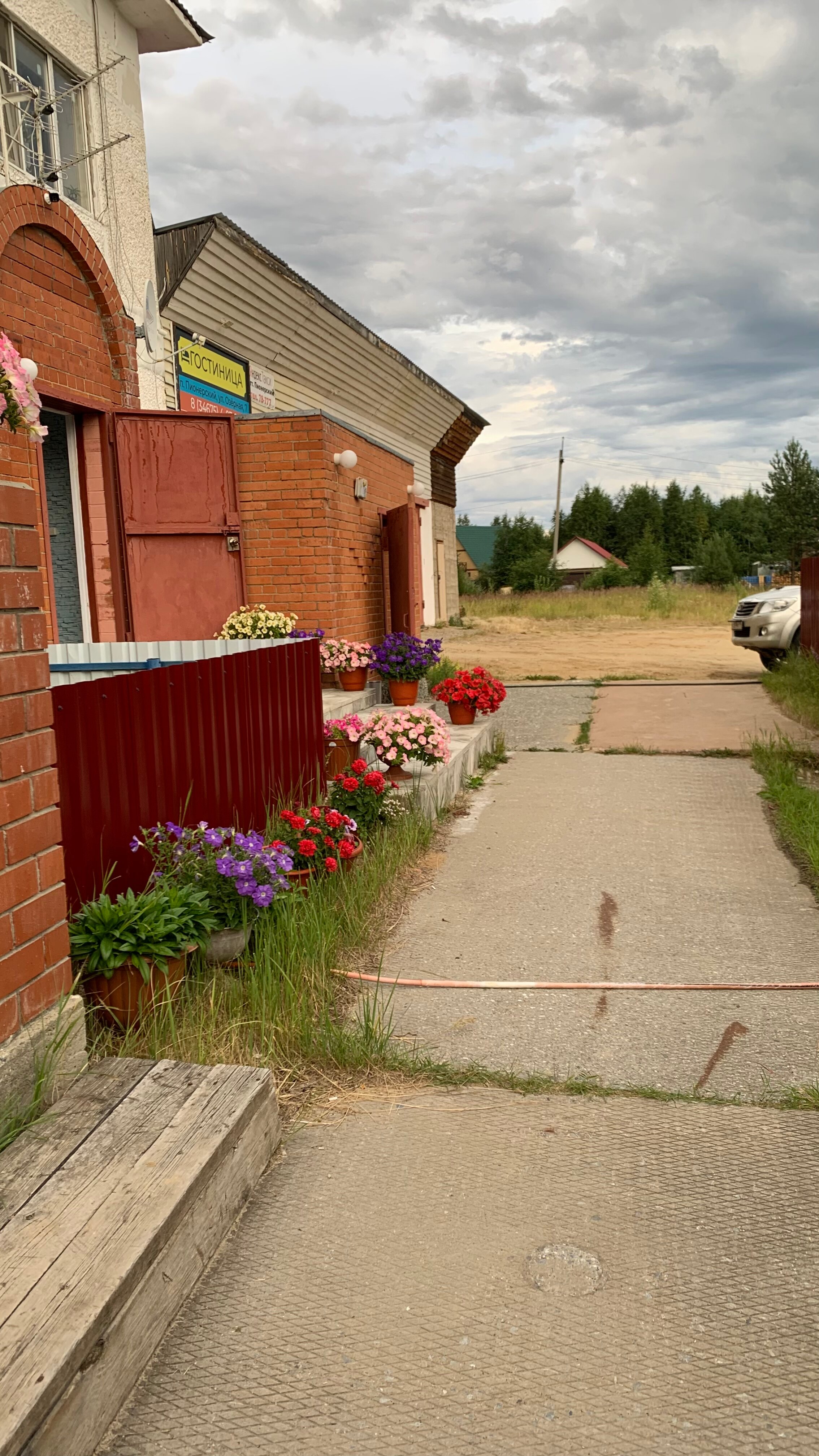 Фото Сладкий сон