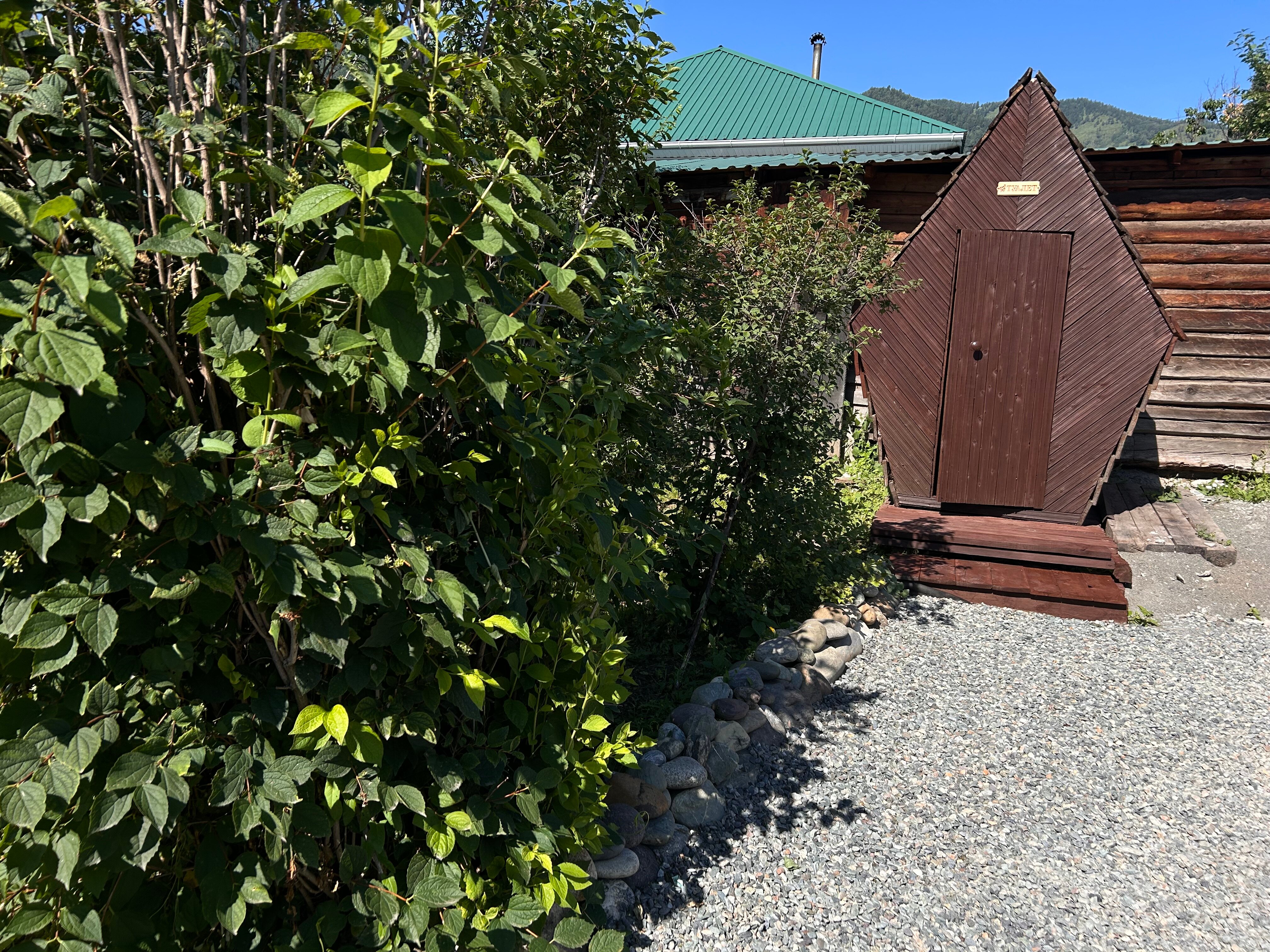 Фото Отдых на Алтайской