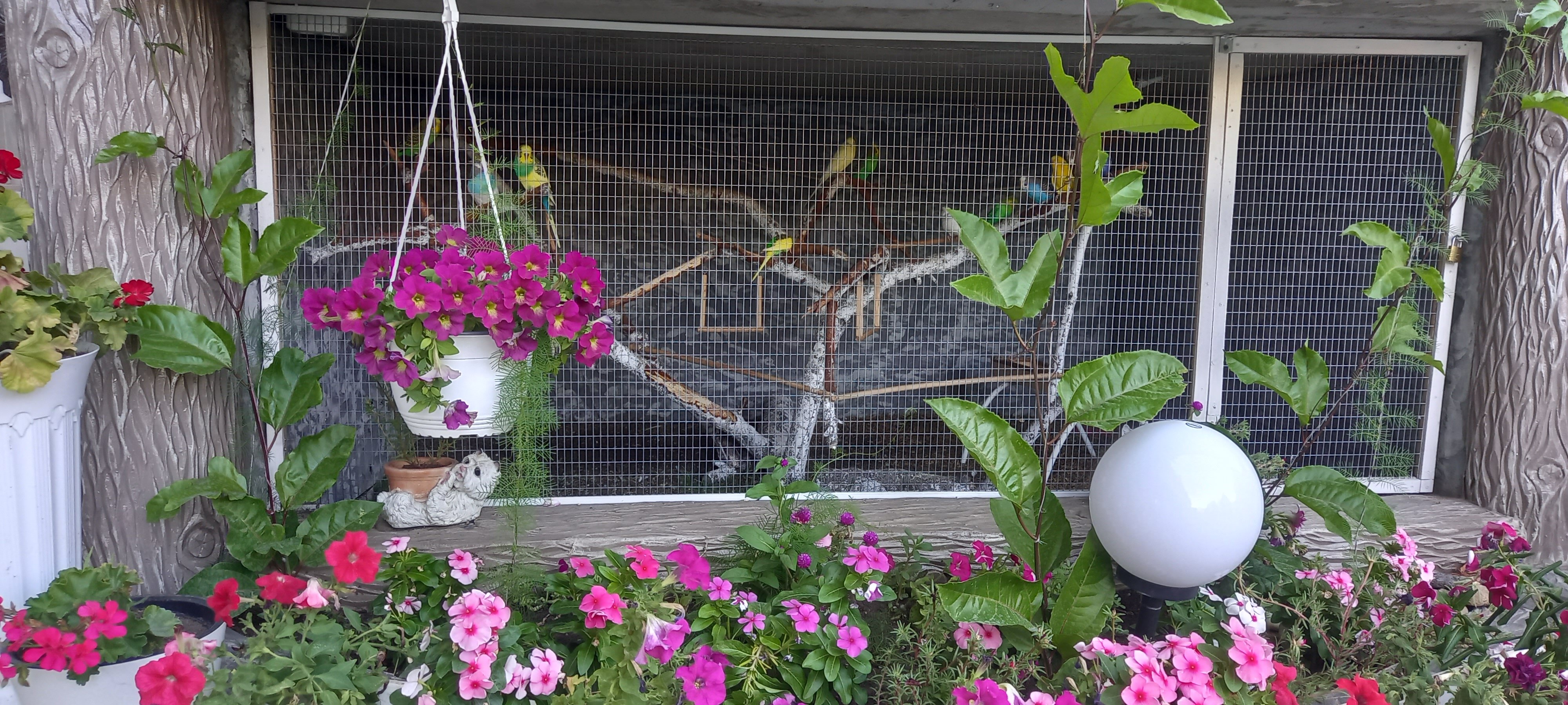 Фото Вилла Людмила