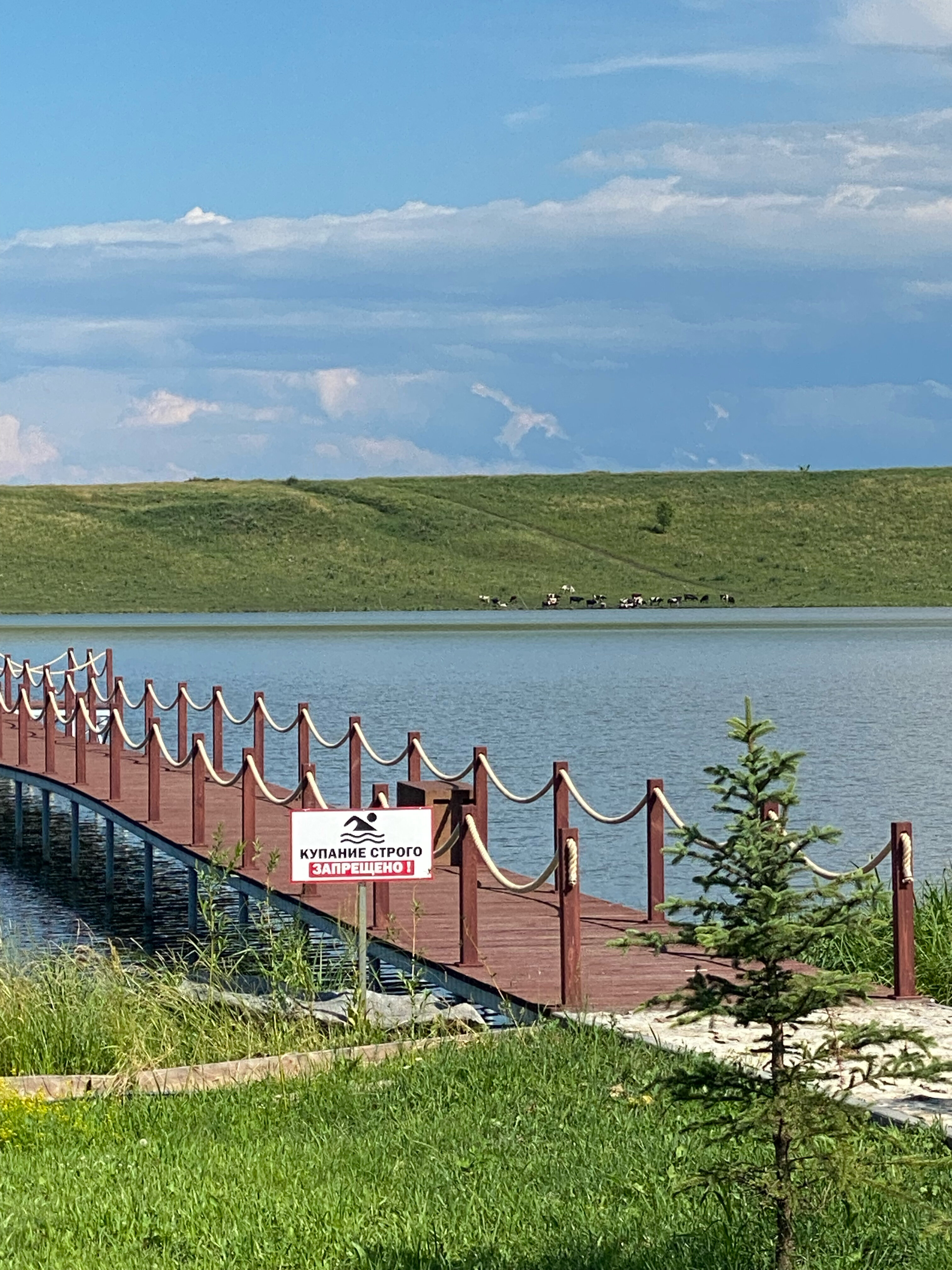 Фото Каменный ручей