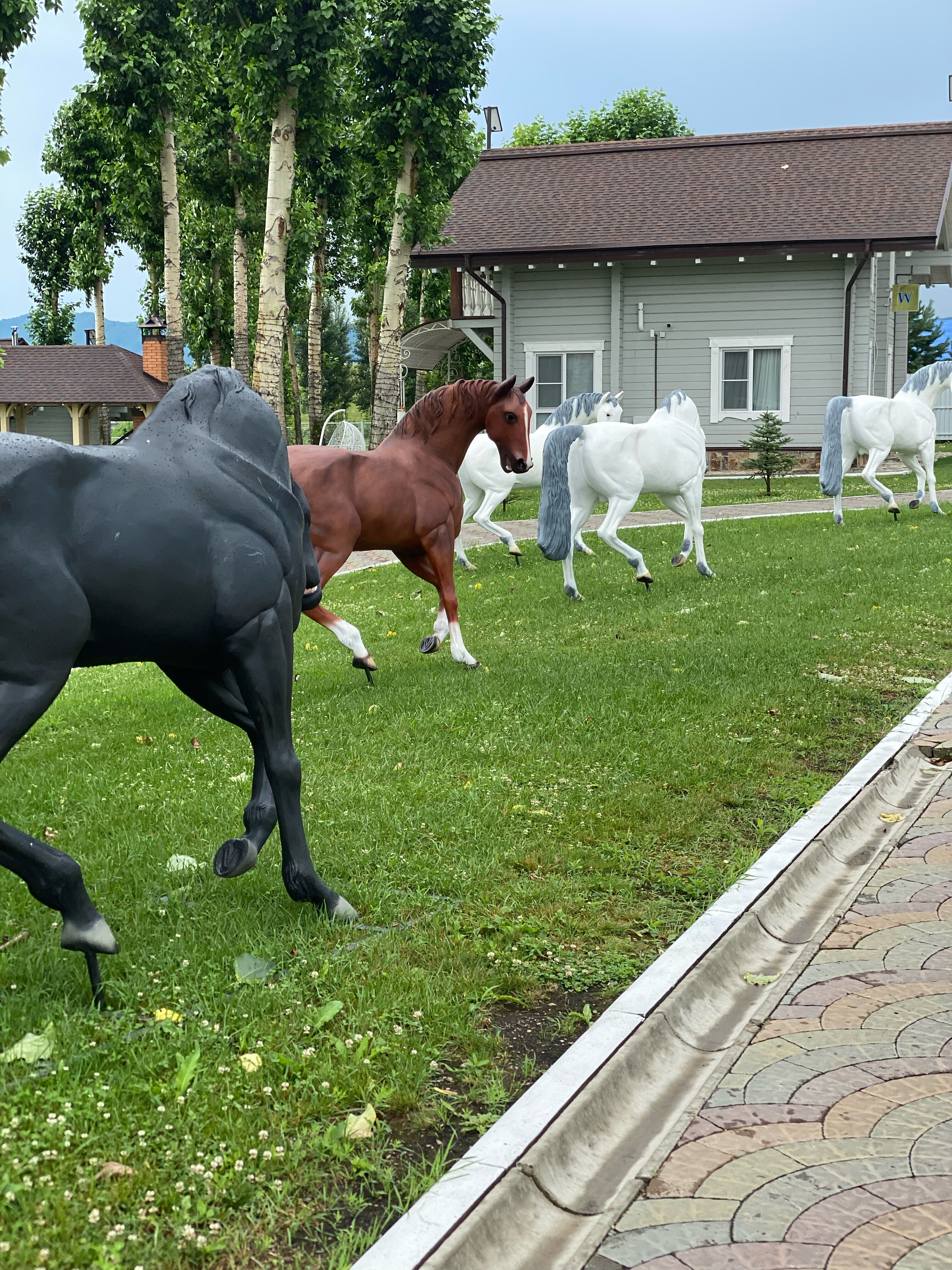 Фото Каменный ручей