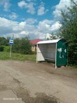 Совхоз Воронежский – 2 (Voronezh Region, Novousmanskiy rayon, Nikolskoye selskoye poseleniye, Settlement of Sovkhoza Voronezhskiy, Voronezhskaya ulitsa), public transport stop