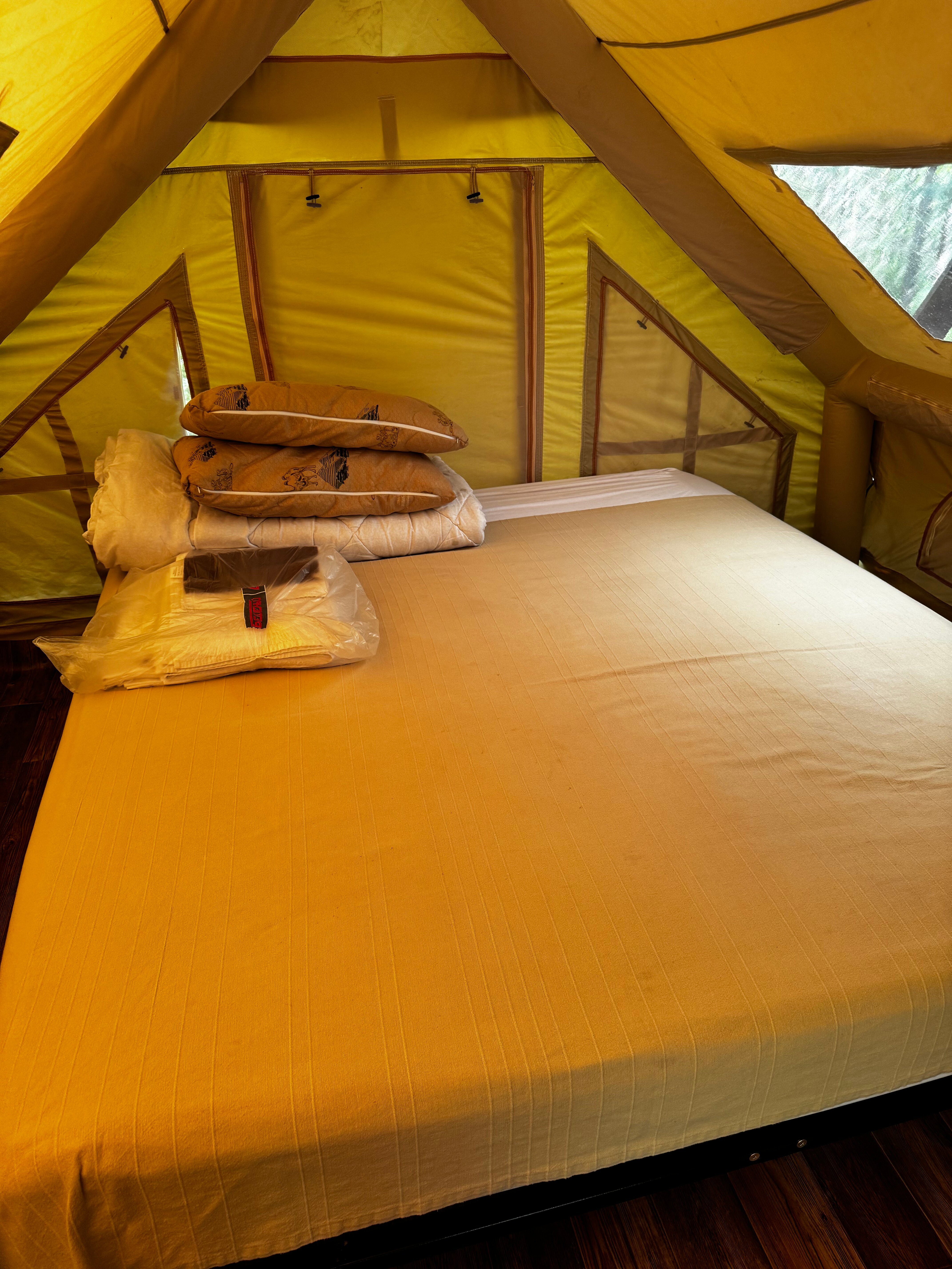 Фото Лесотерапия