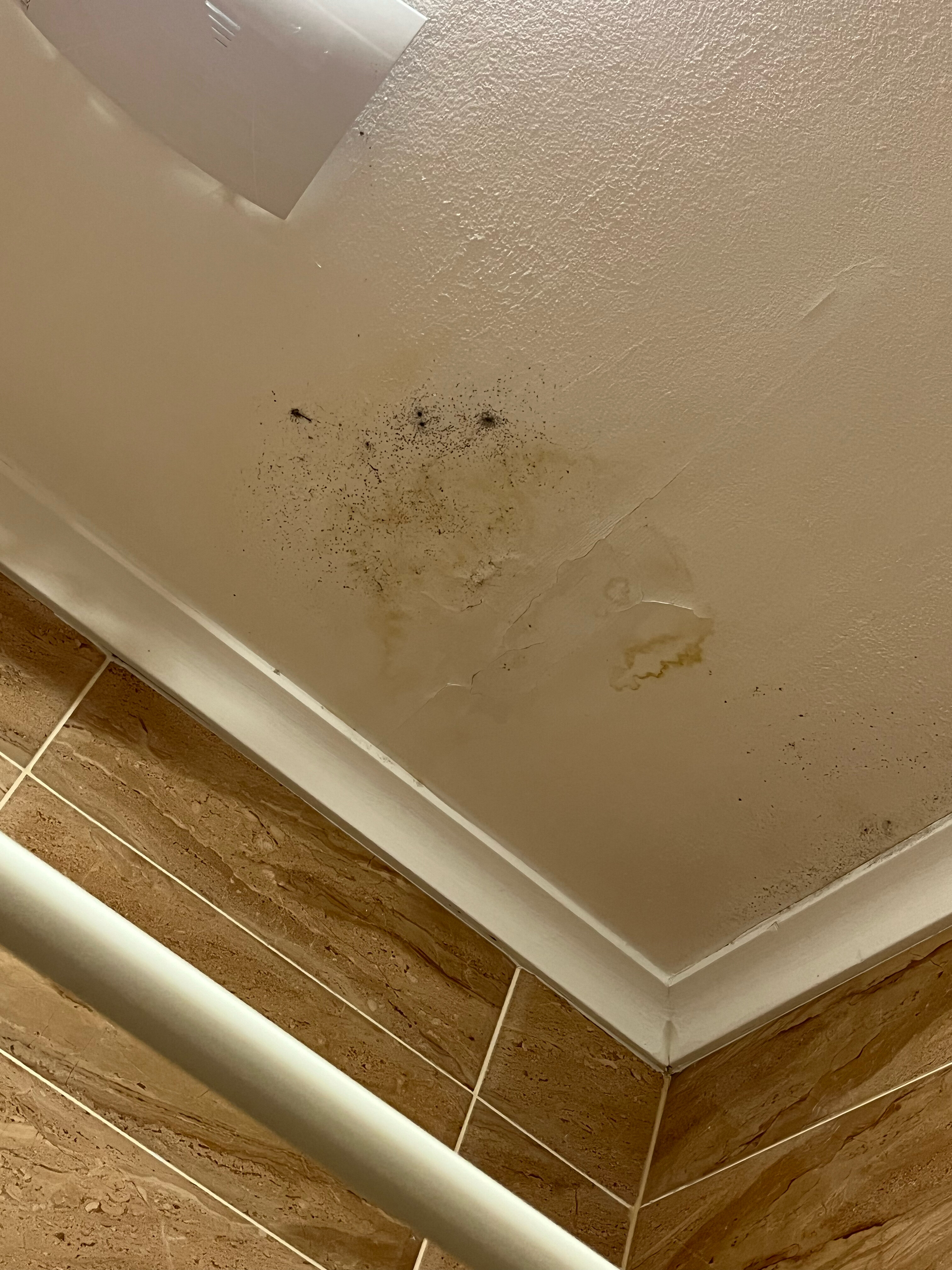 Фото Империал Палас