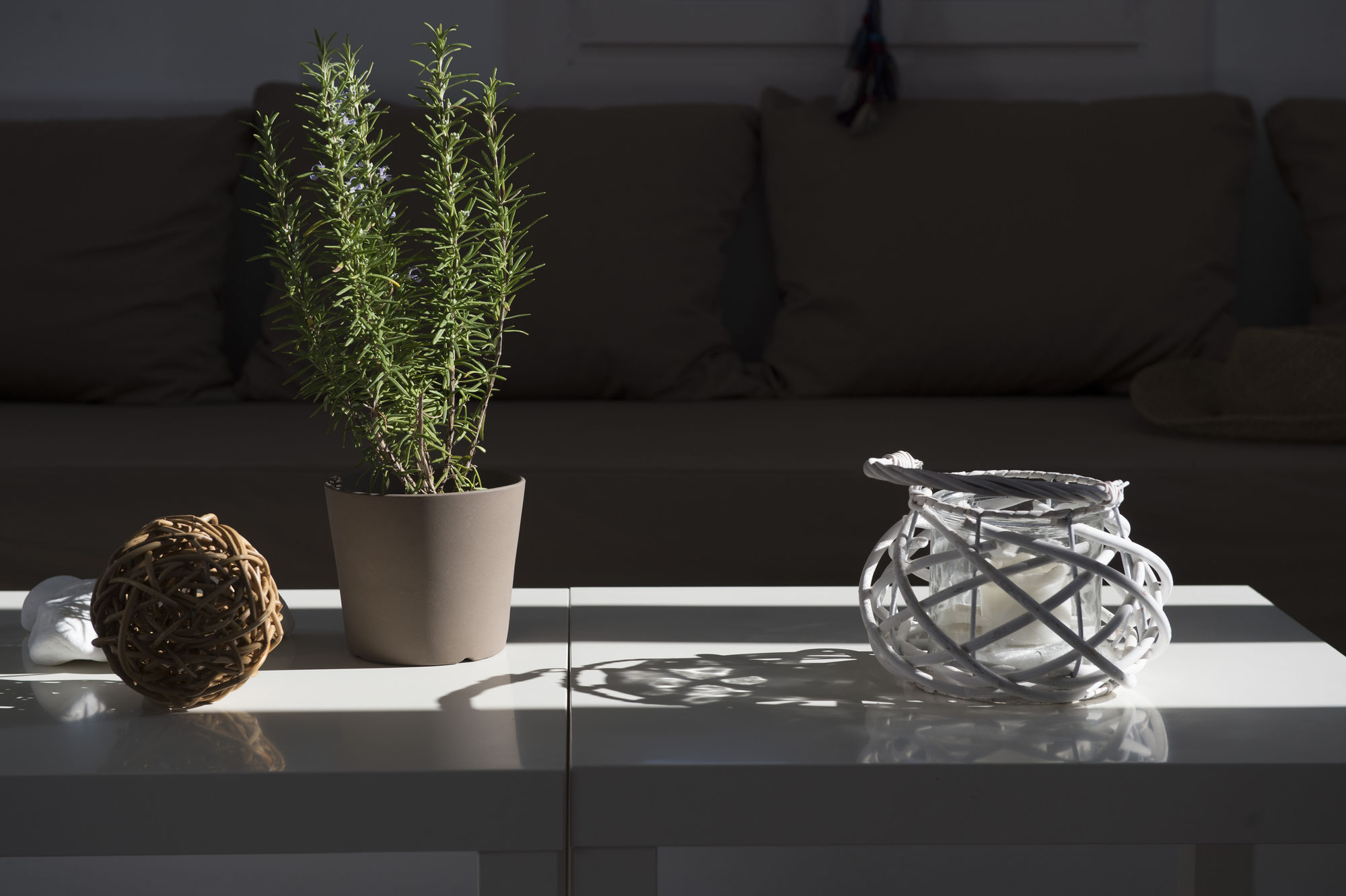 Фото Cleopatra Homes