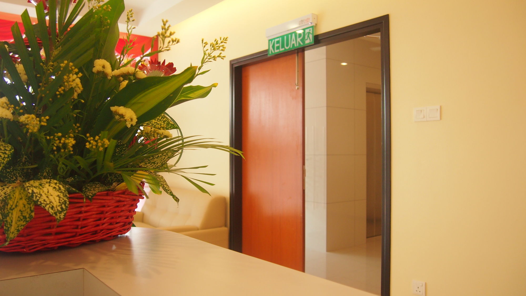 Фото 118 Hotel Macalister