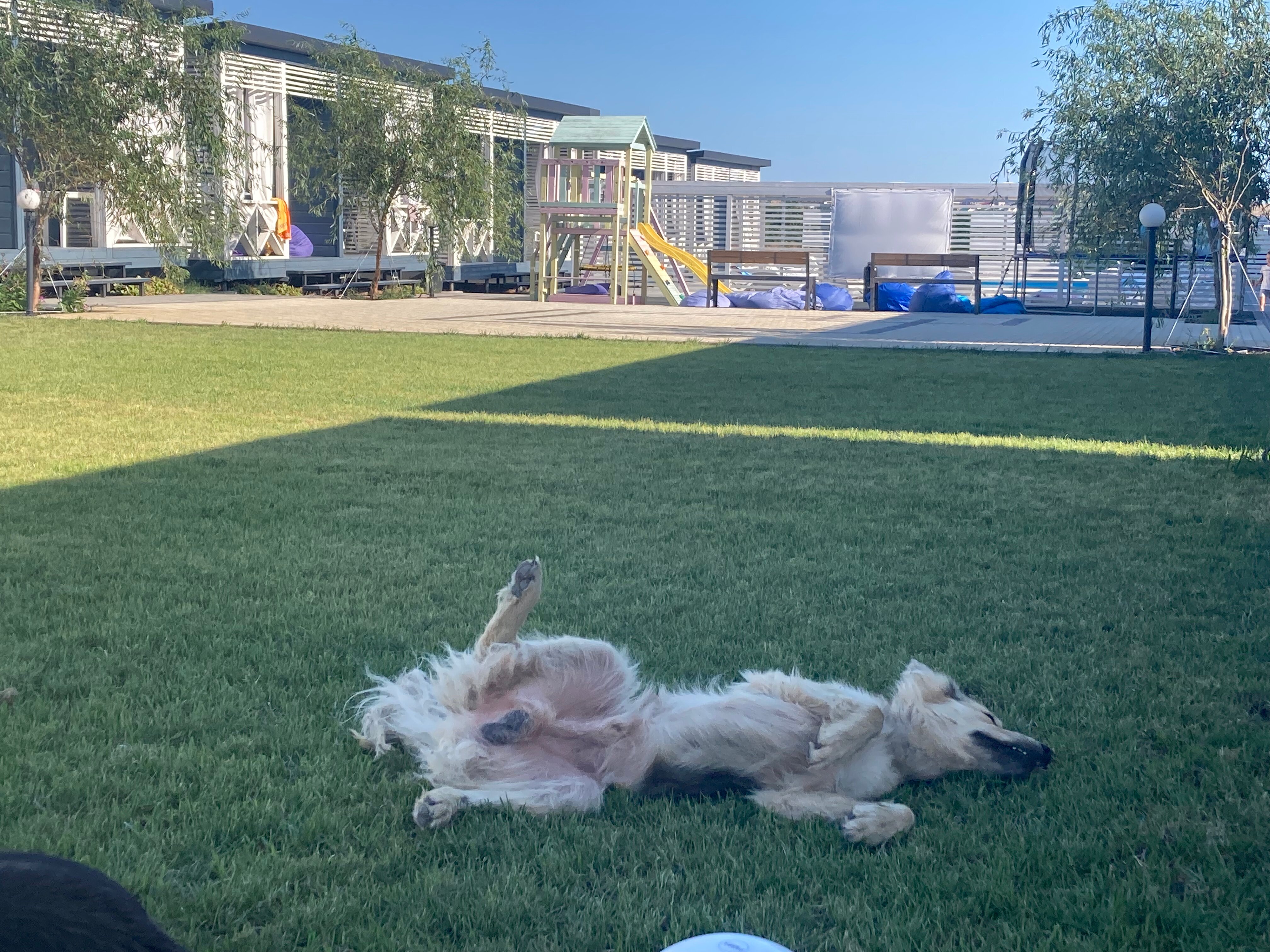 Фото Заморем