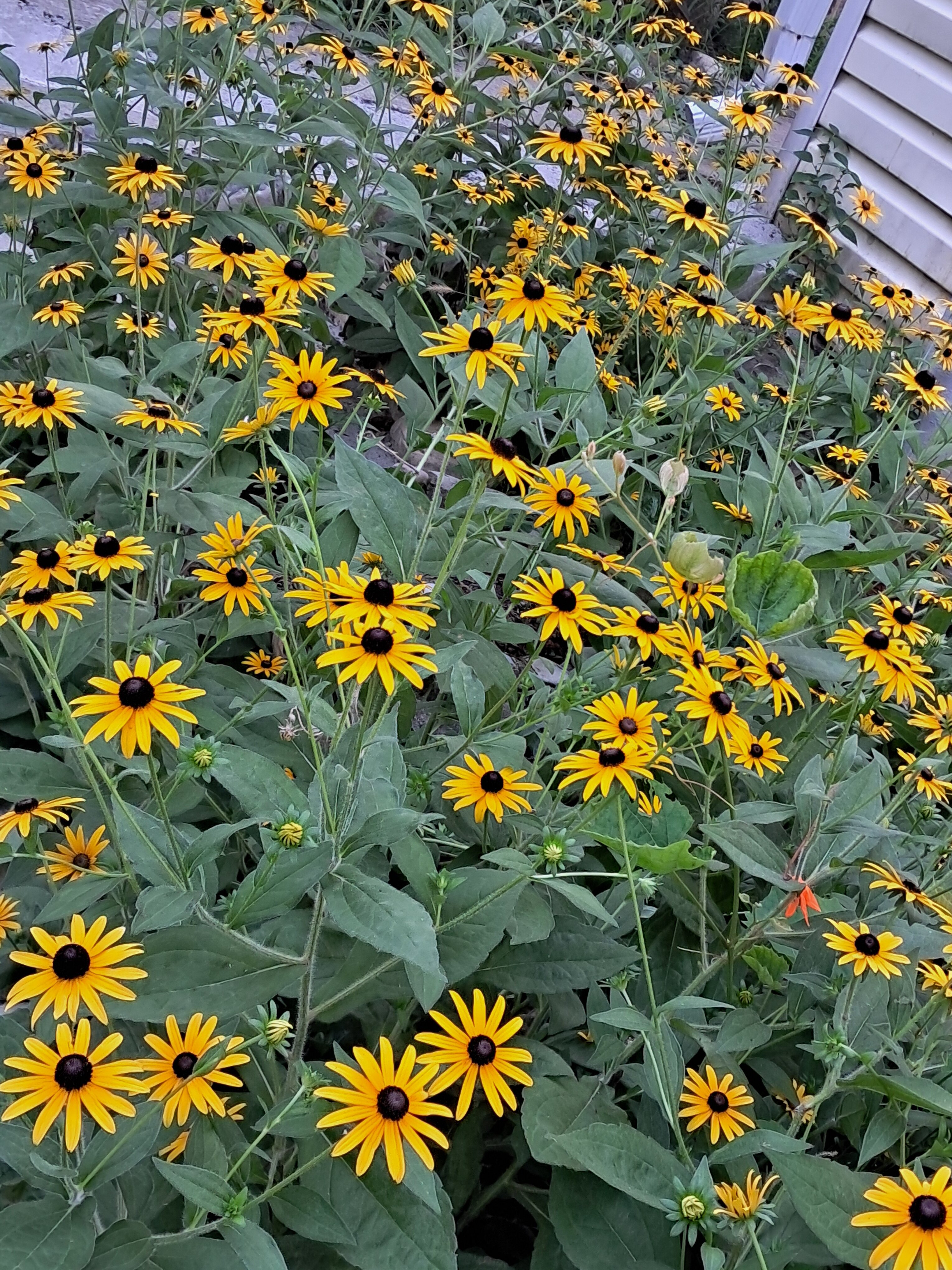 Фото Райский уголок