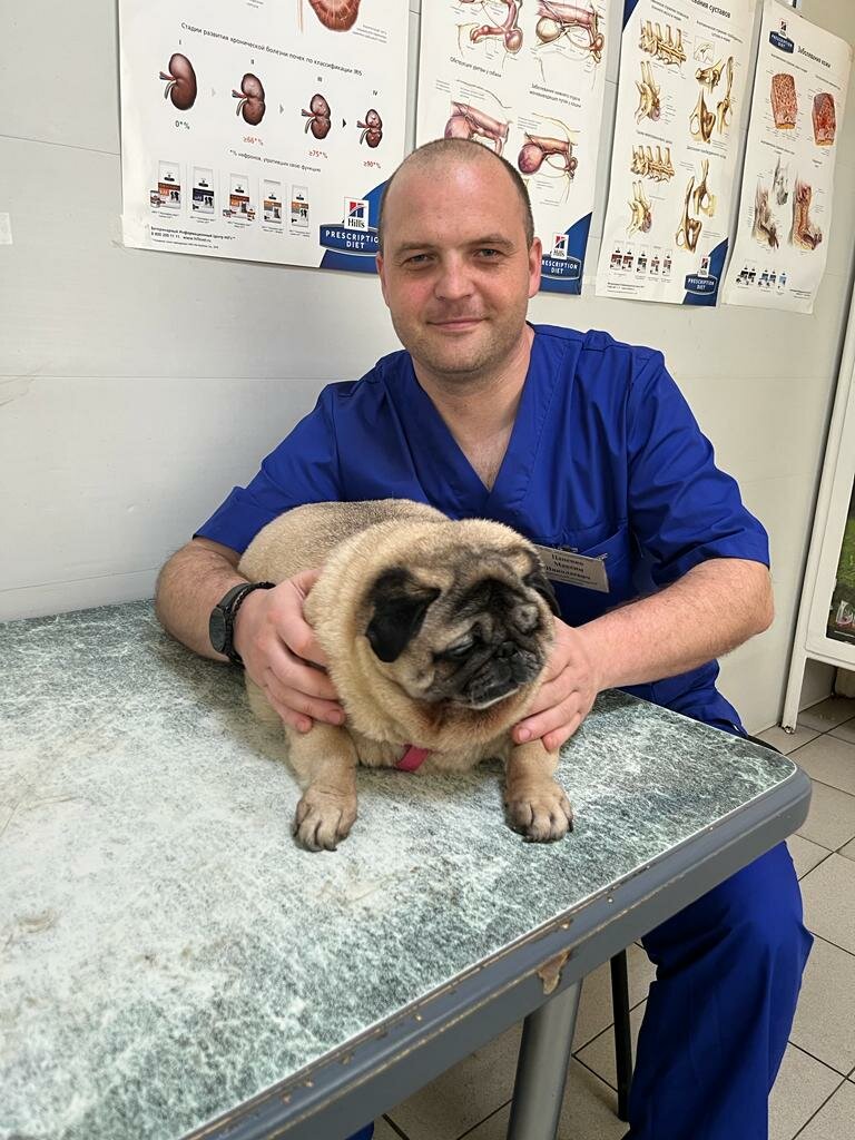 Veterinary clinic Veterinarnaya Laboratoriya, Shakhty, photo