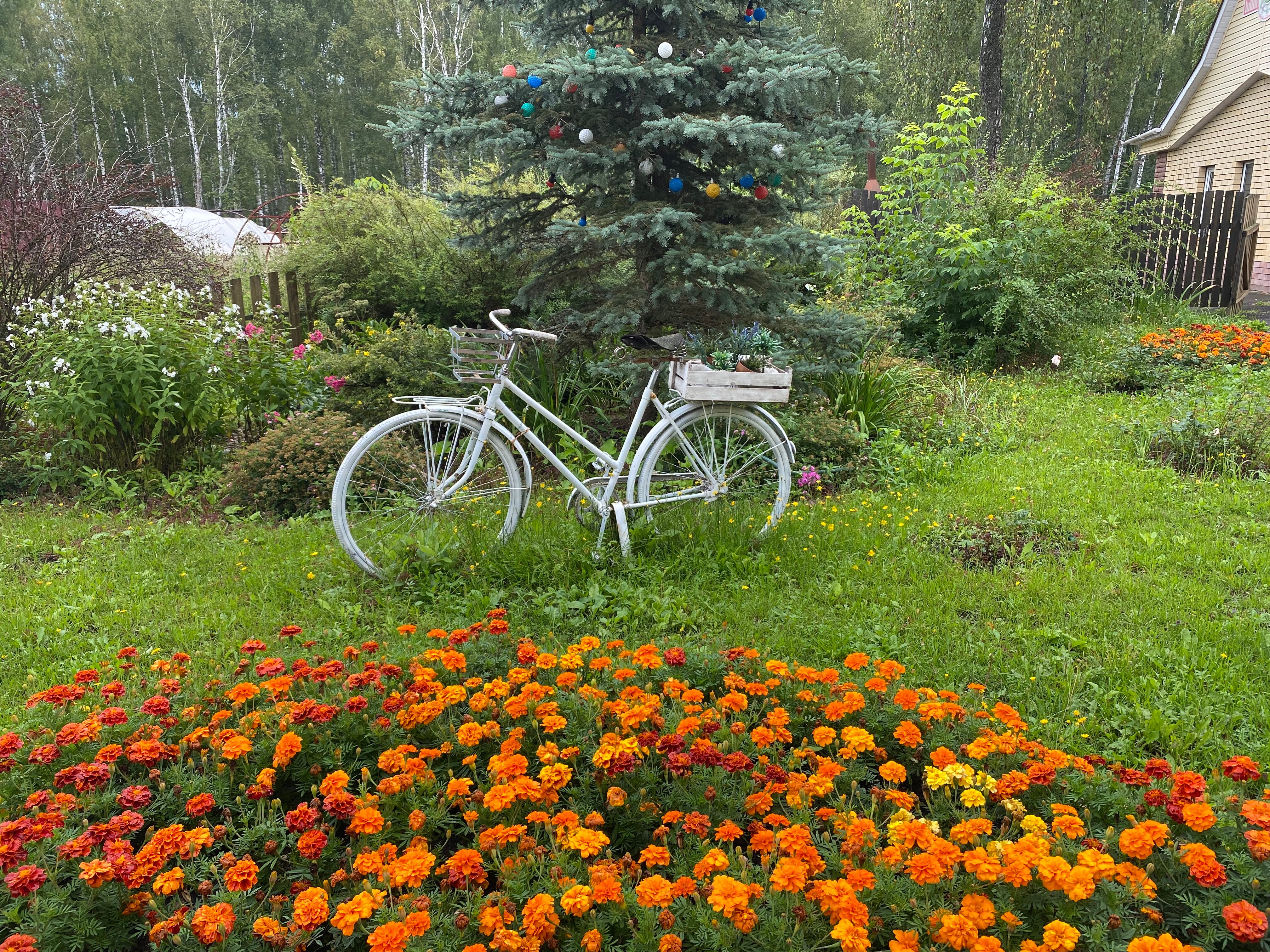 Фото Ясная Поляна