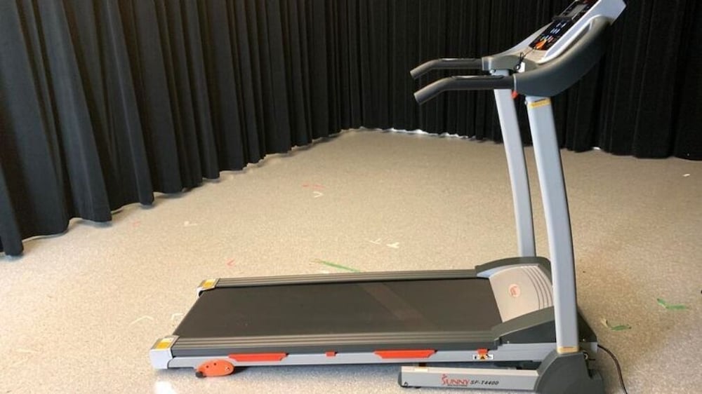 Фото Tropical Daisy