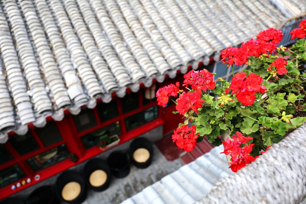 Фото 161 Lama Temple Courtyard Hotel