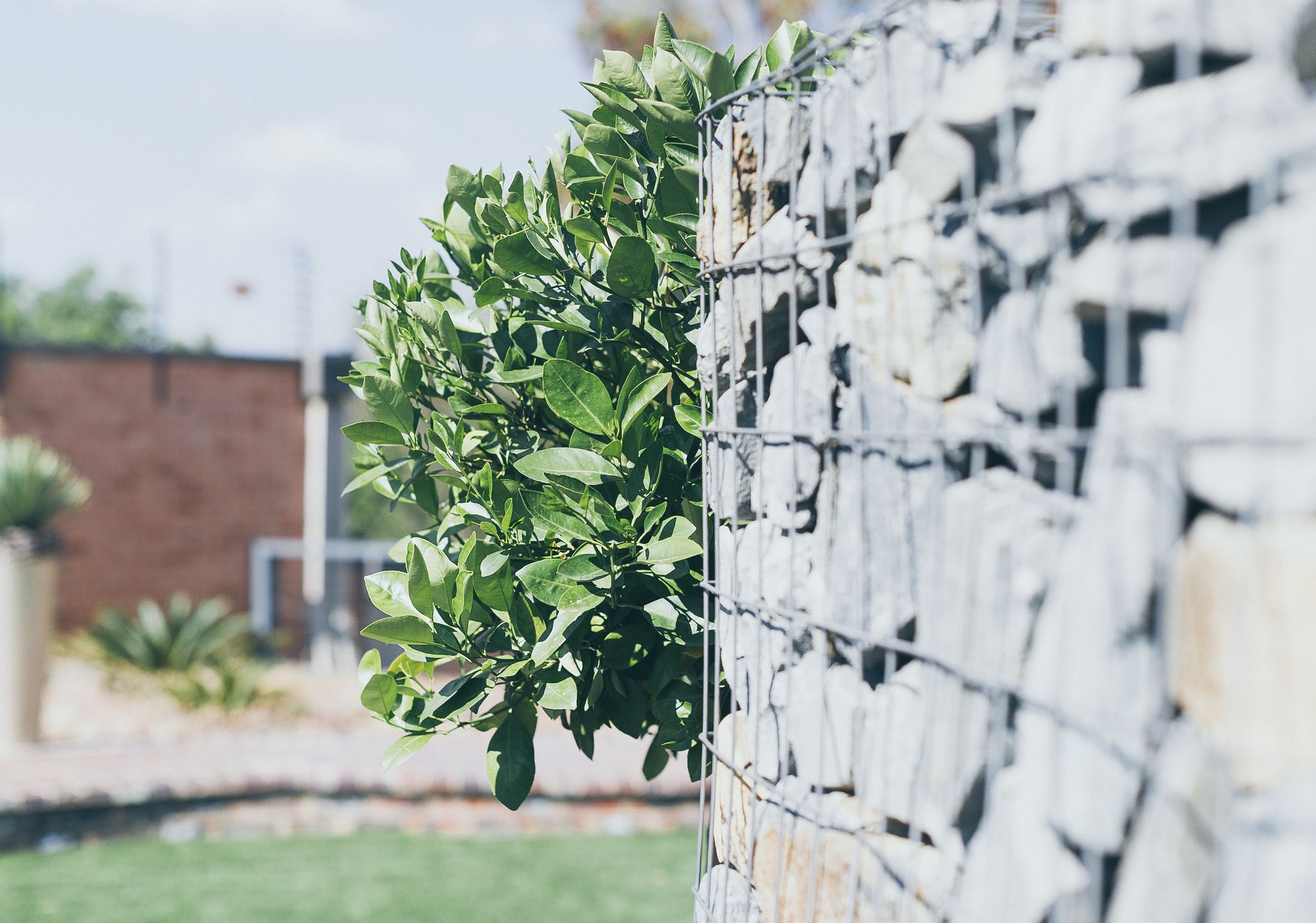 Фото B and B Sandton