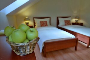 Гостиница Eco friendly Hotel Dalia