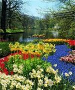 Фото 56515768612