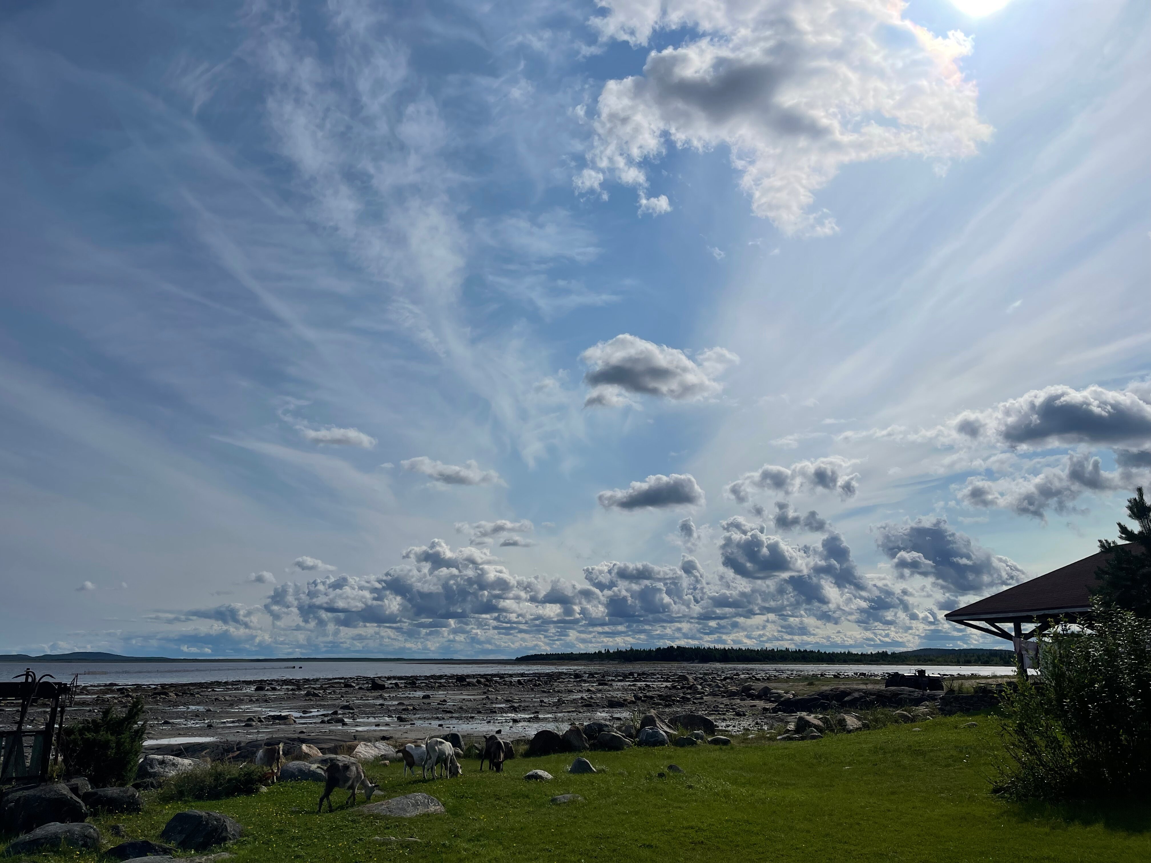 Фото Этнопарк Лопский берег