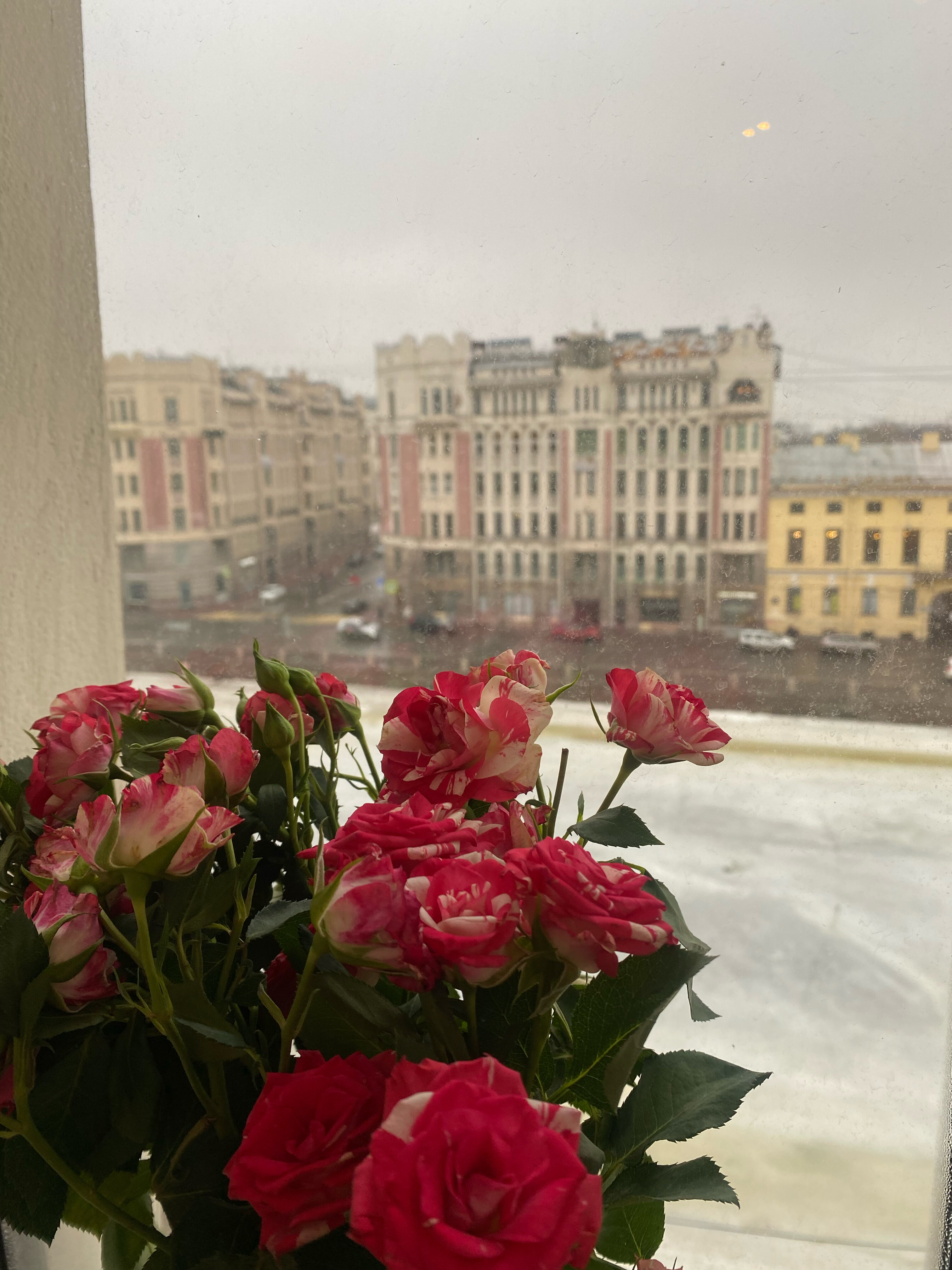 Фото Астерия