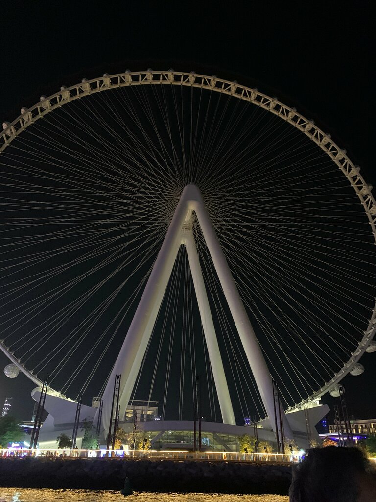 Amusement ride Eye of The Emirates, Sharjah, photo