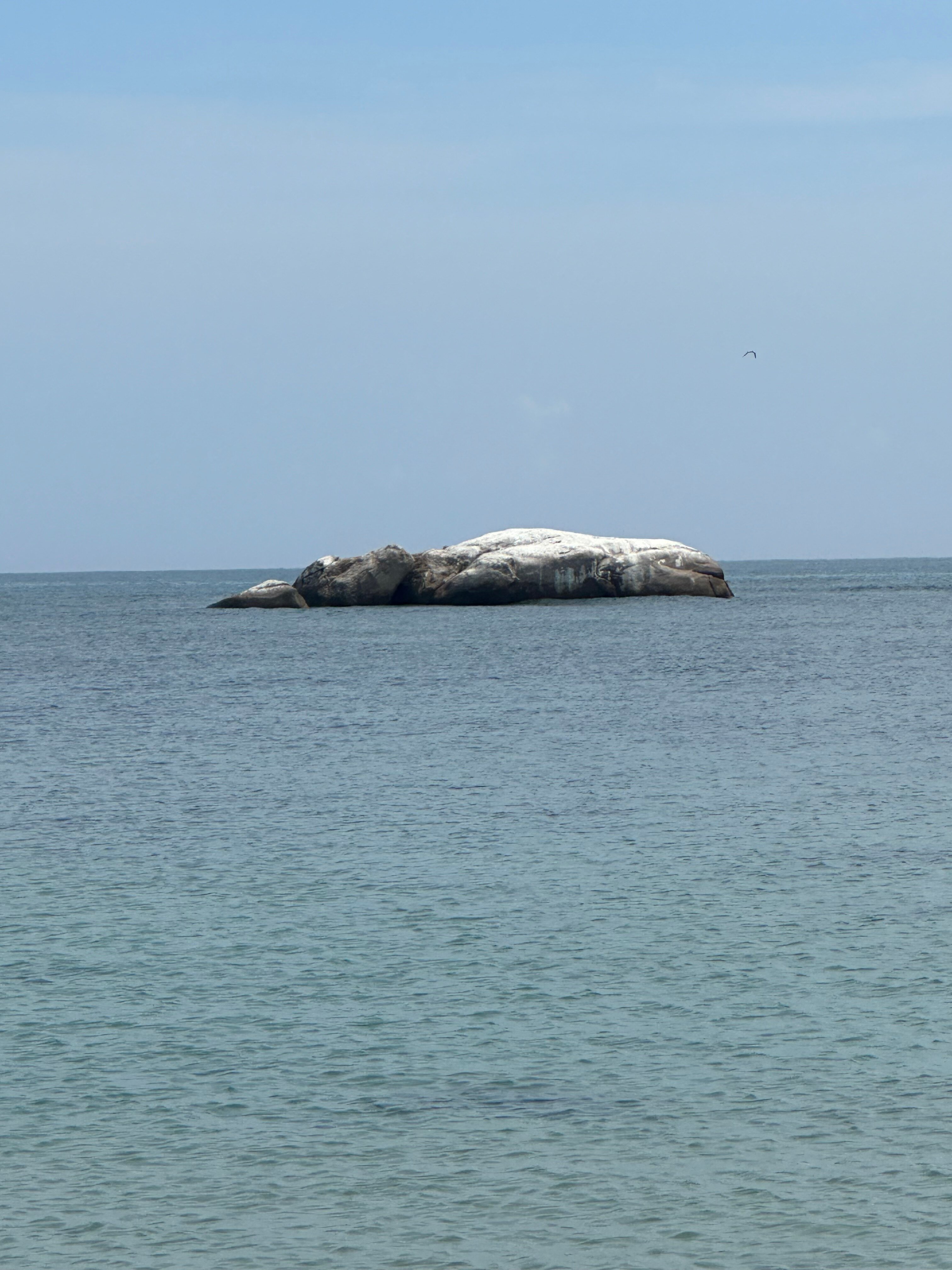 Фото Maalu Maalu Resort & SPA Pasikuda